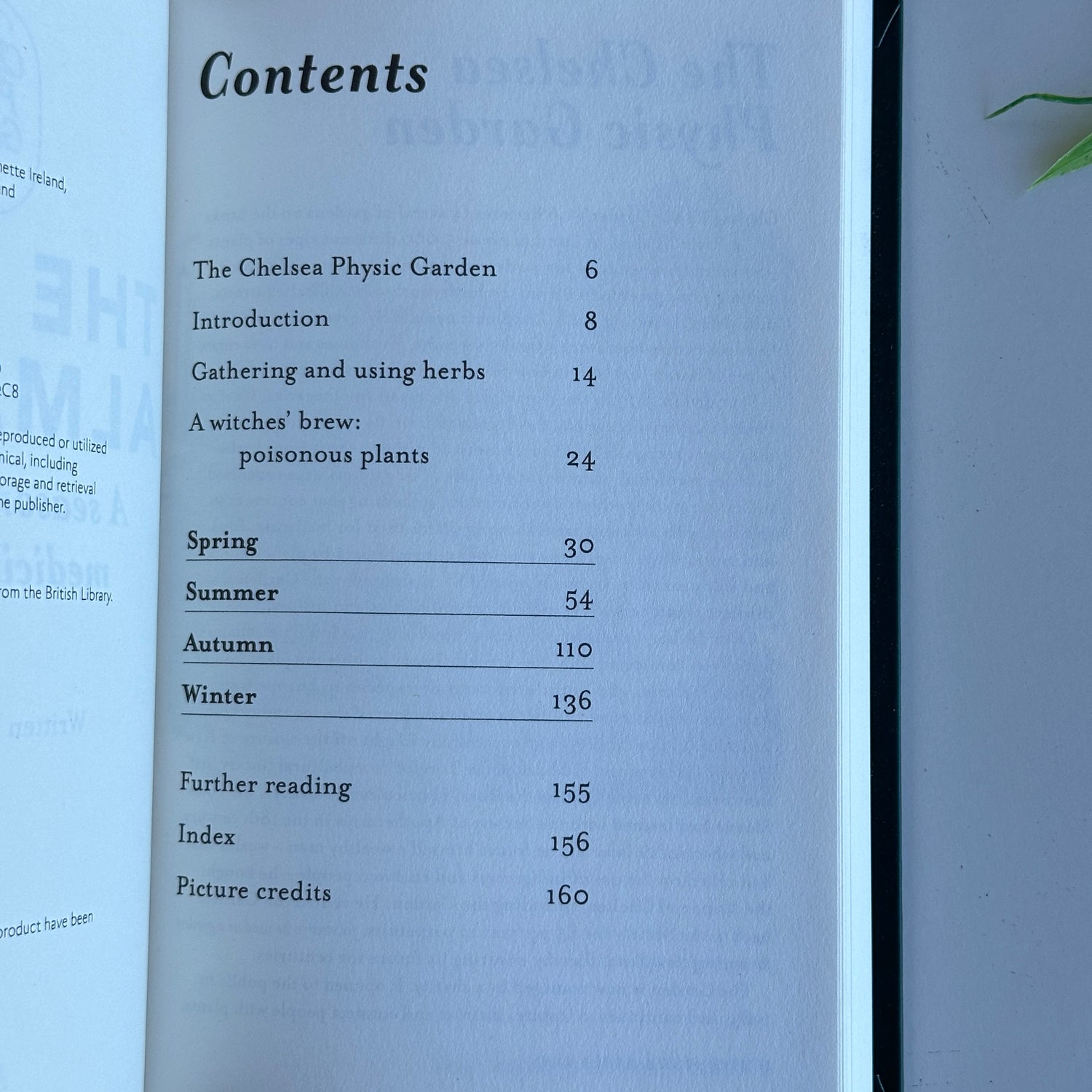 The Herb Almanac Holly Farrell