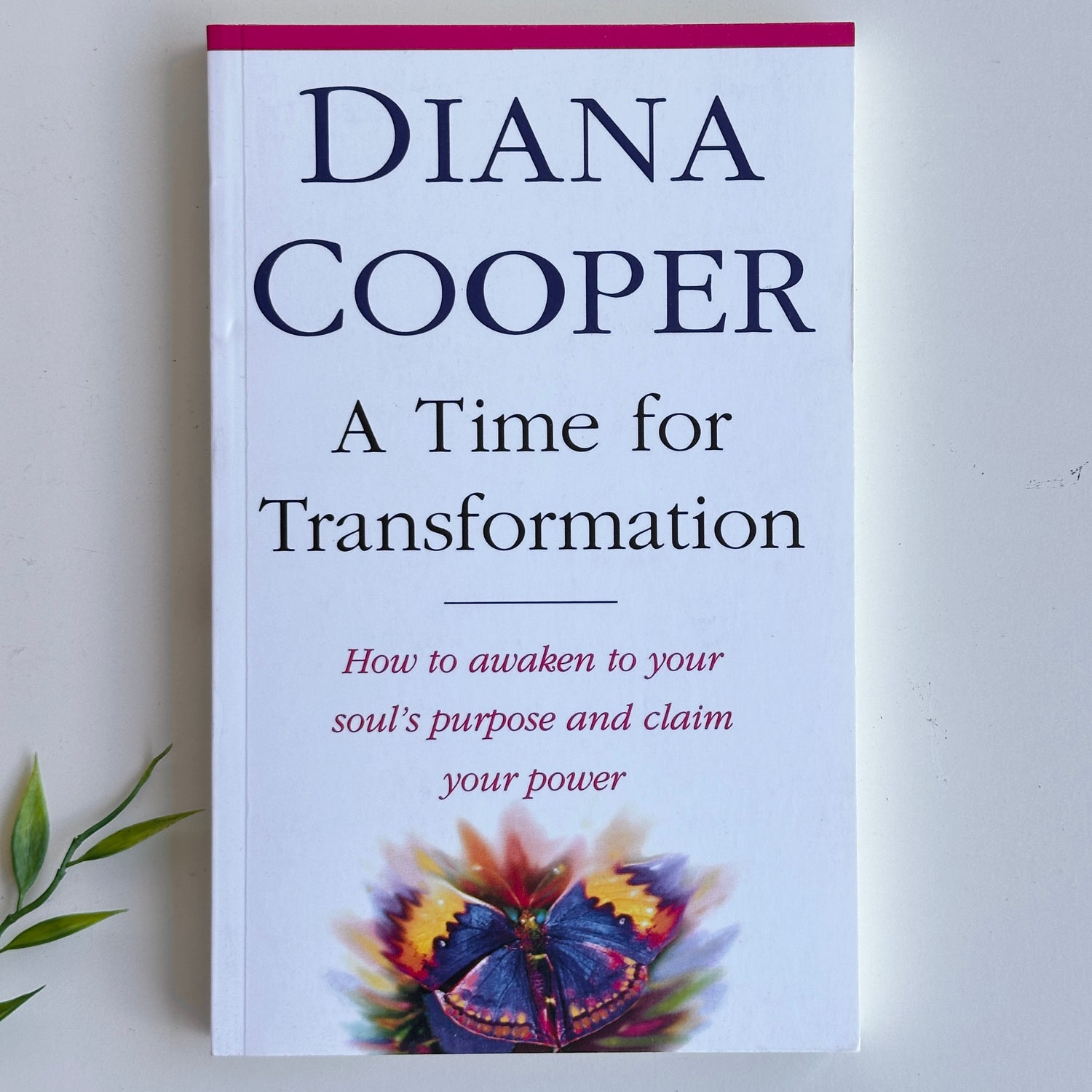 A Time For Transformation Diana Cooper