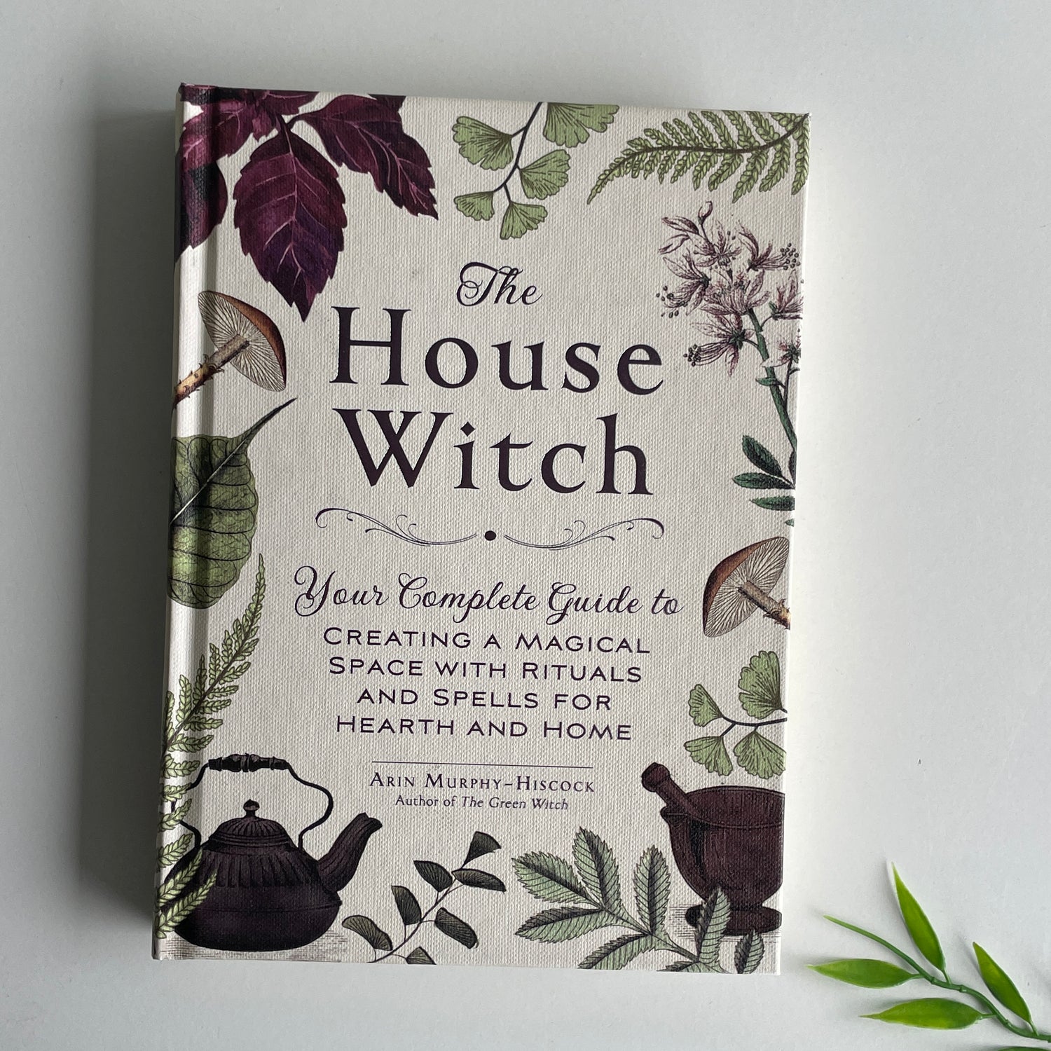 The House Witch Arin Murphy Hiscock