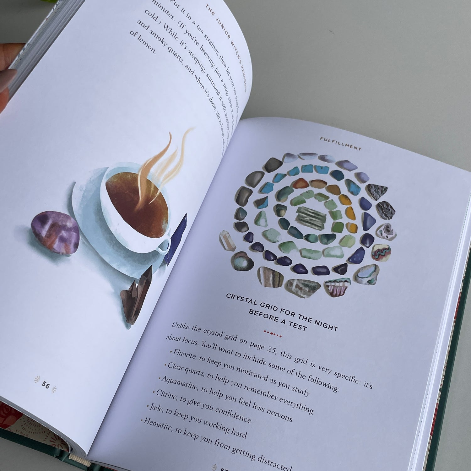 The Junior Witchs Handbook Nikki Van De Car