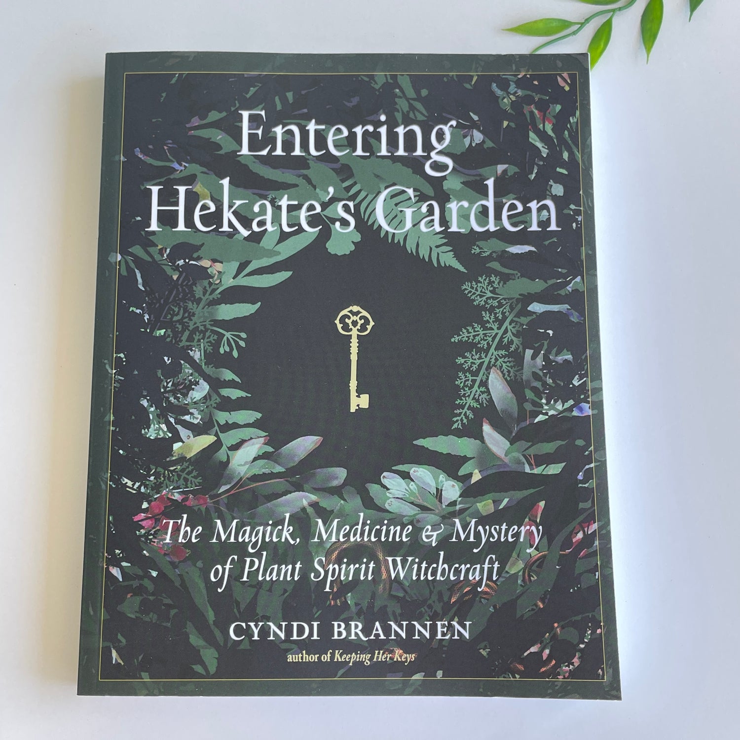 Entering Hekates Garden Cyndi Brannen