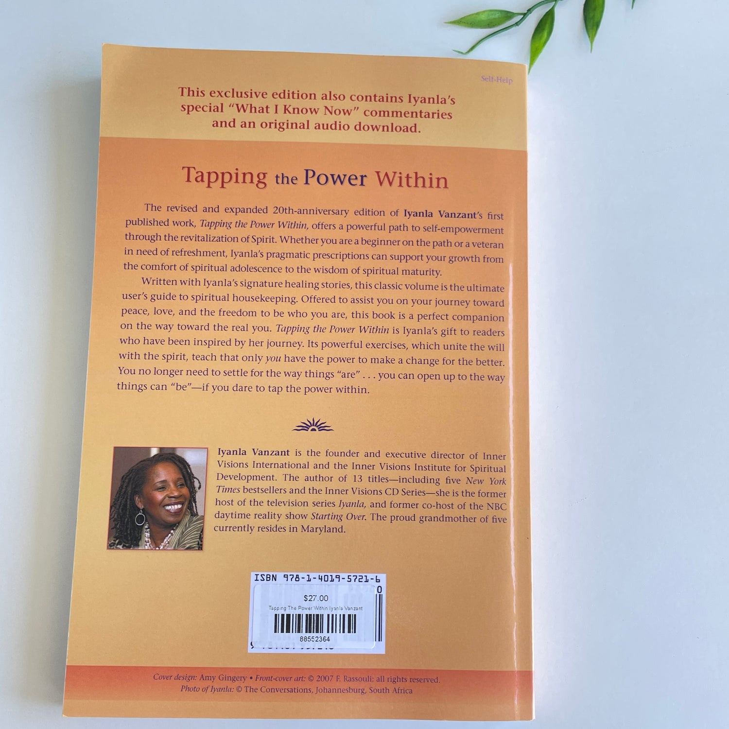 Tapping The Power Within Iyanla Vanzant