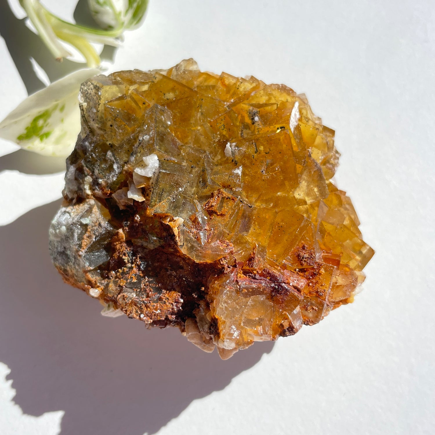 Spanish Fluorite Pce 186g
