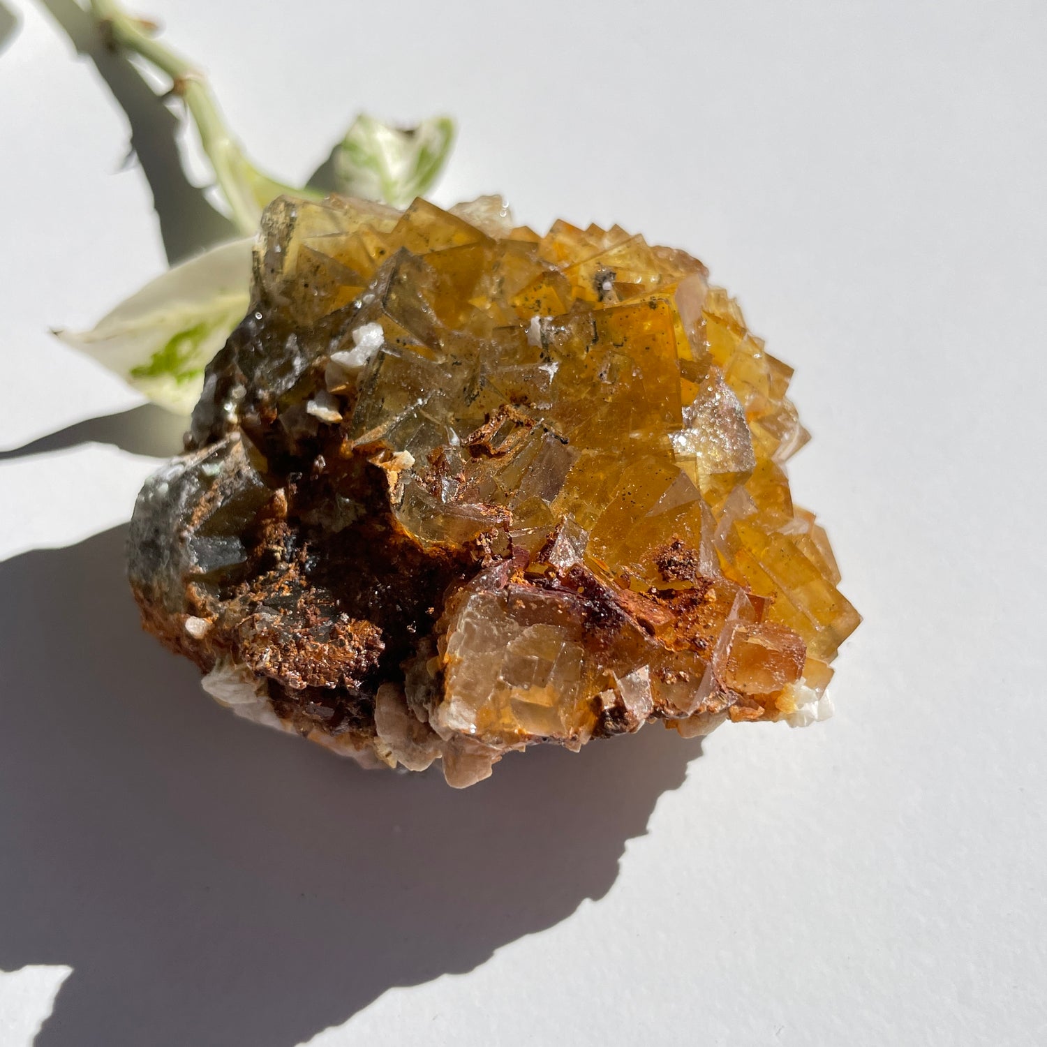 Spanish Fluorite Pce 186g