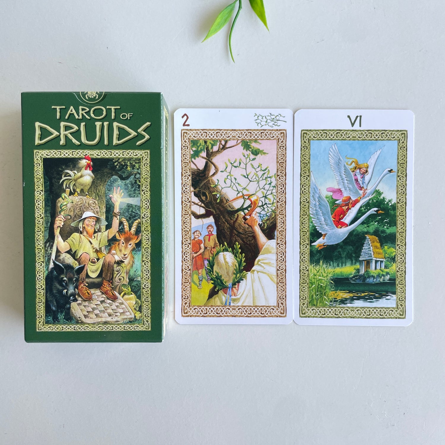 Tarot Of The Druids