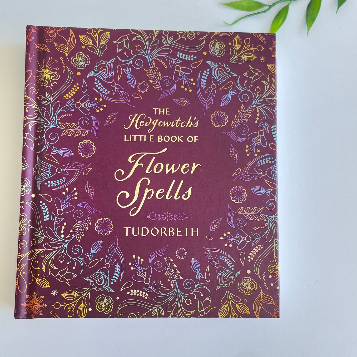 The Hedgewitch's Little Book Of Flower Spells Tudorbeth