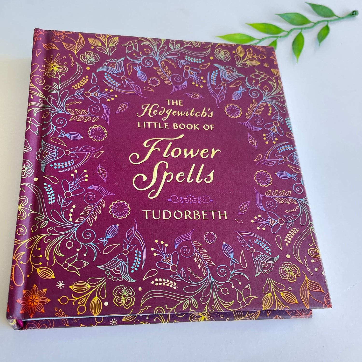 The Hedgewitch's Little Book Of Flower Spells Tudorbeth