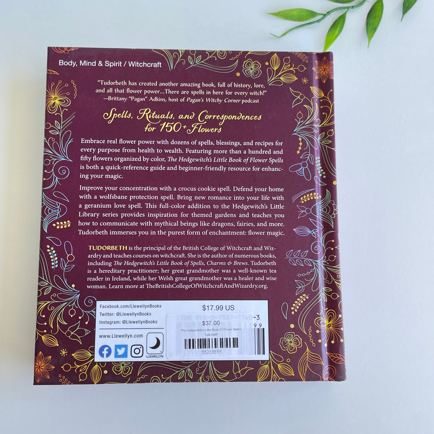 The Hedgewitch's Little Book Of Flower Spells Tudorbeth