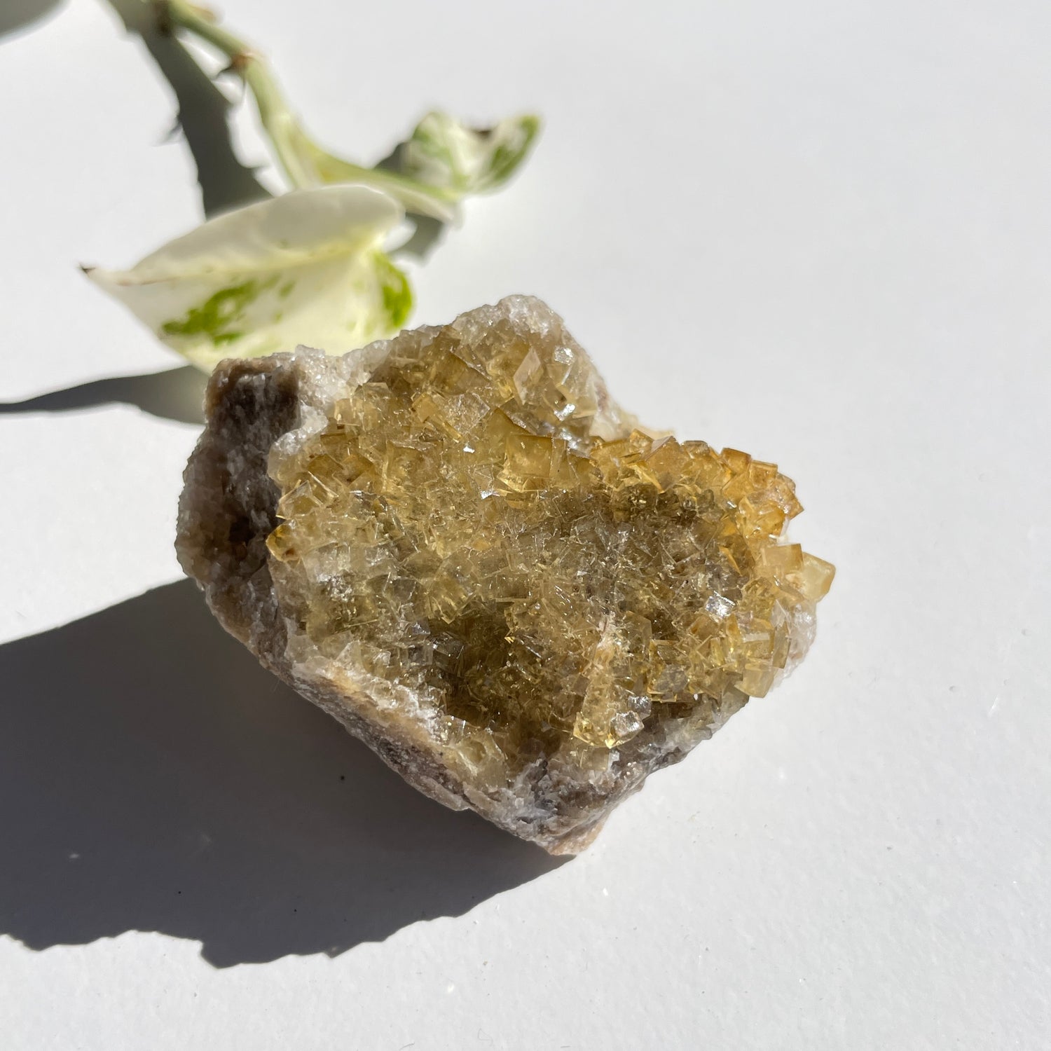 Spanish Fluorite Pce 76g