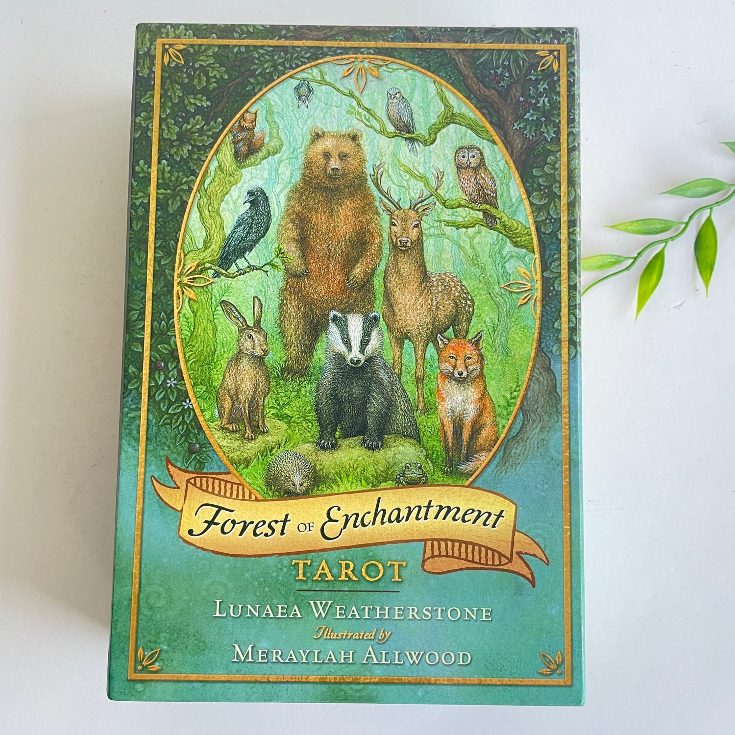 Forest Of Enchantment Tarot