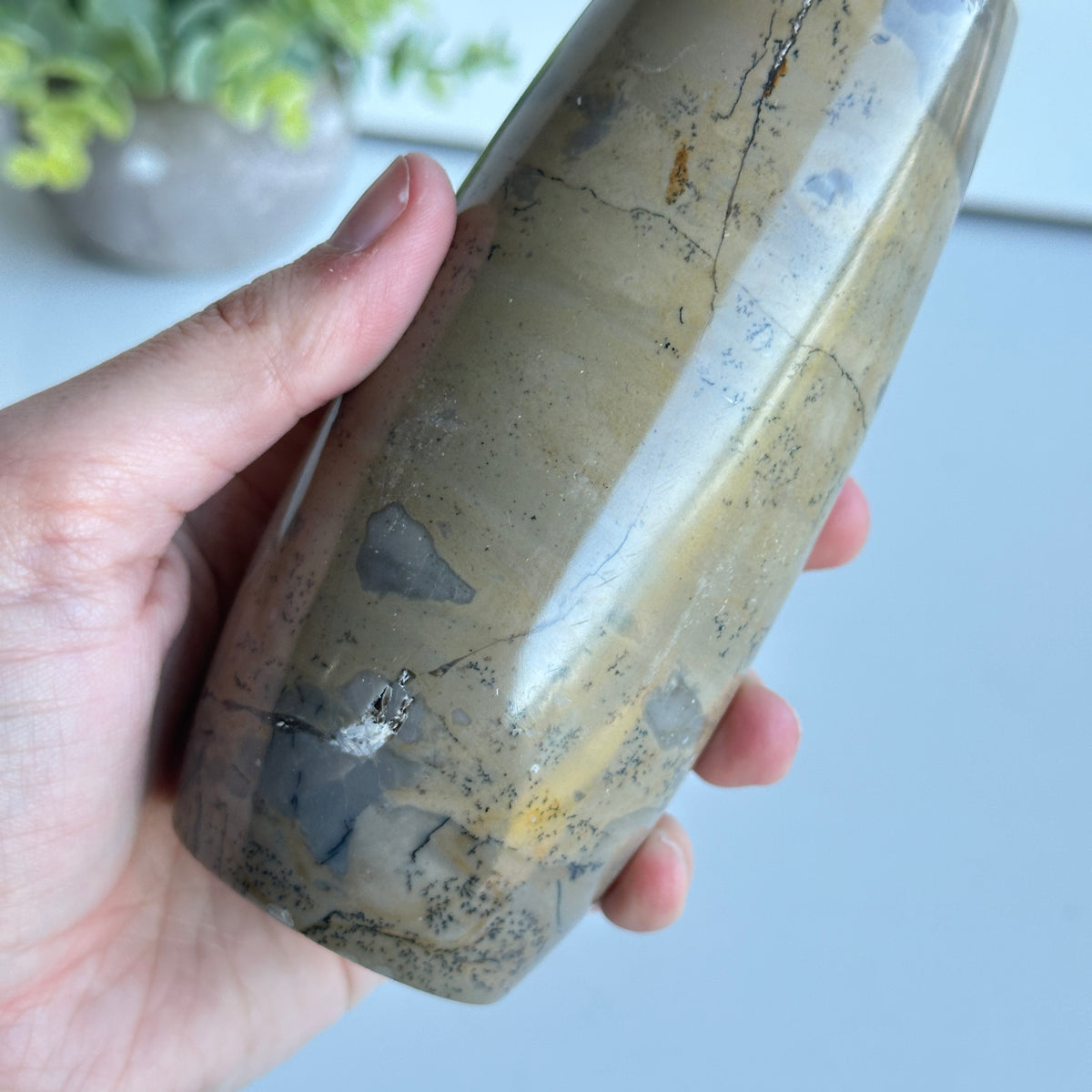 Picture Jasper Vase 23