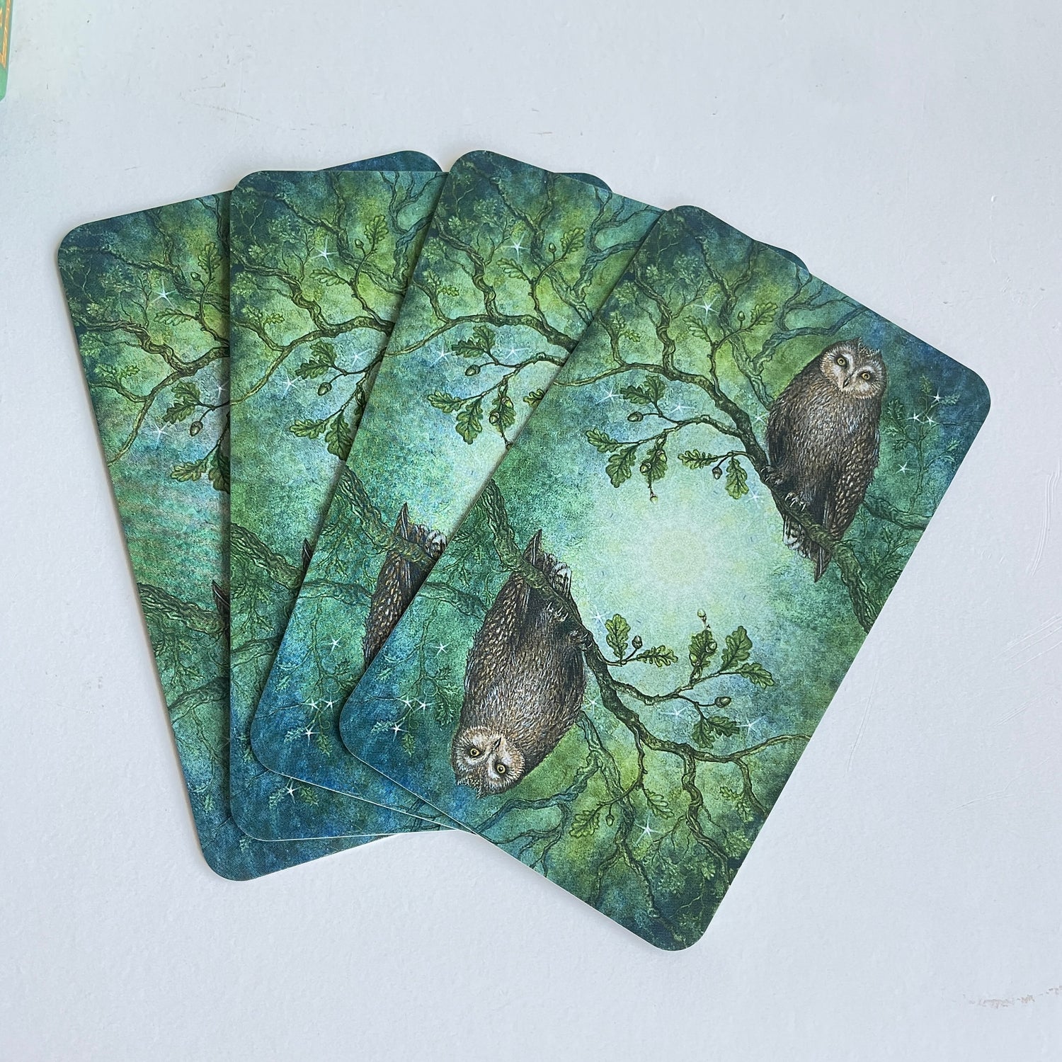Forest Of Enchantment Tarot