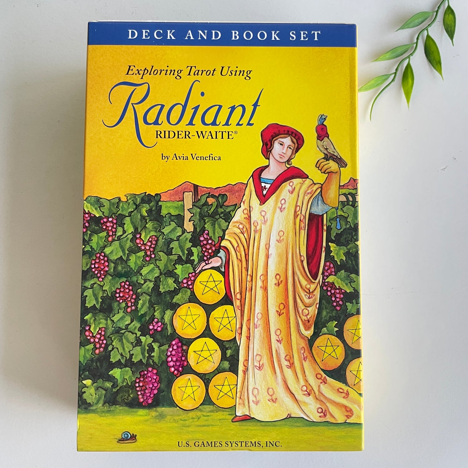 Exploring Tarot Using Radiant Rider Waite Deck And Book Set