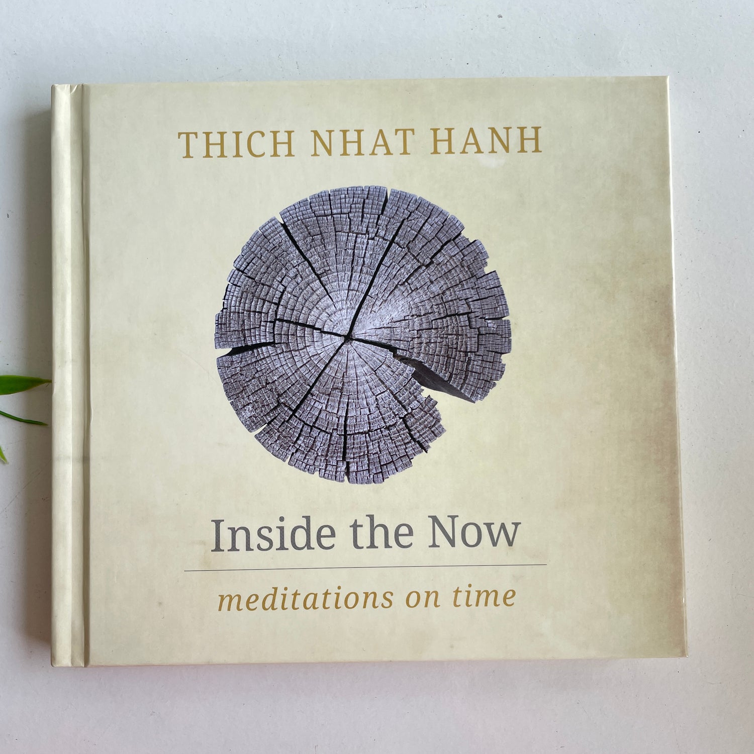 T N Hanh Inside The Now