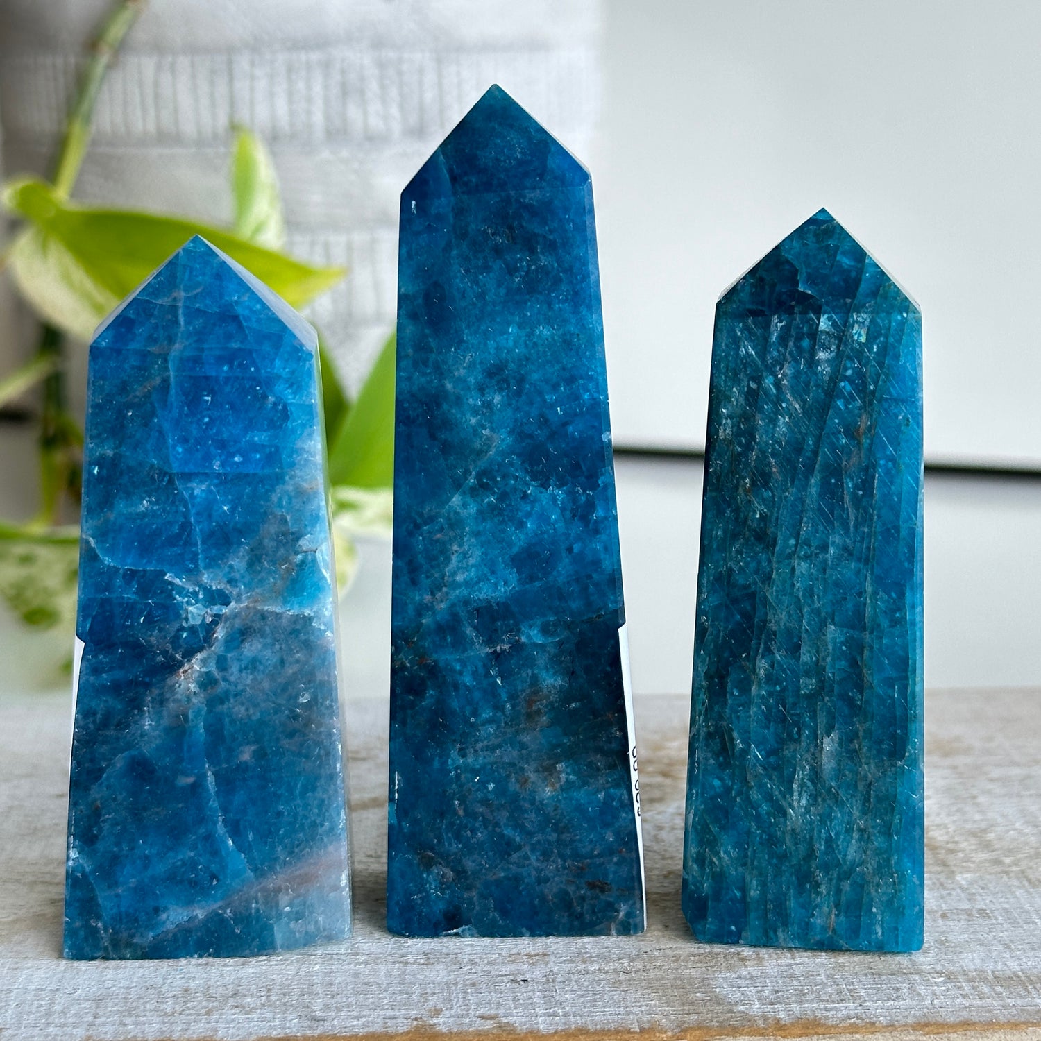 Blue Apatite - High Quality Obelisk Medium