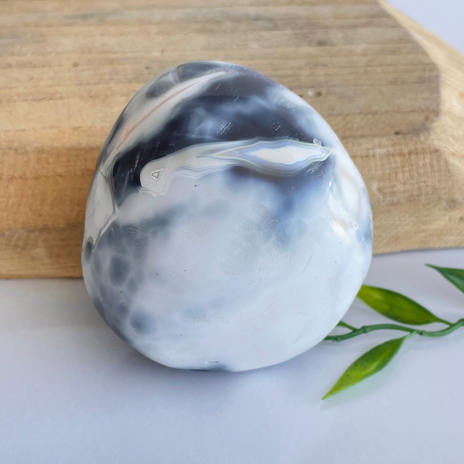 Orca Agate Pce 262g