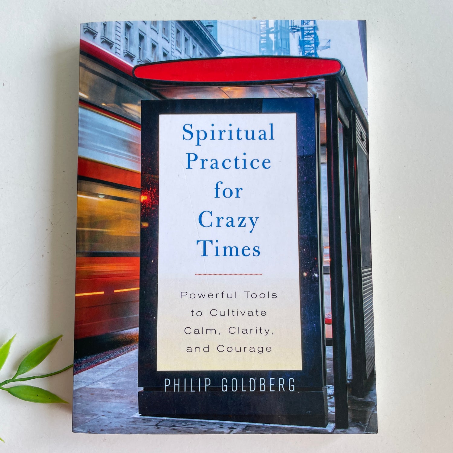 Spiritual Practice For Crazy Times Philip Goldberg