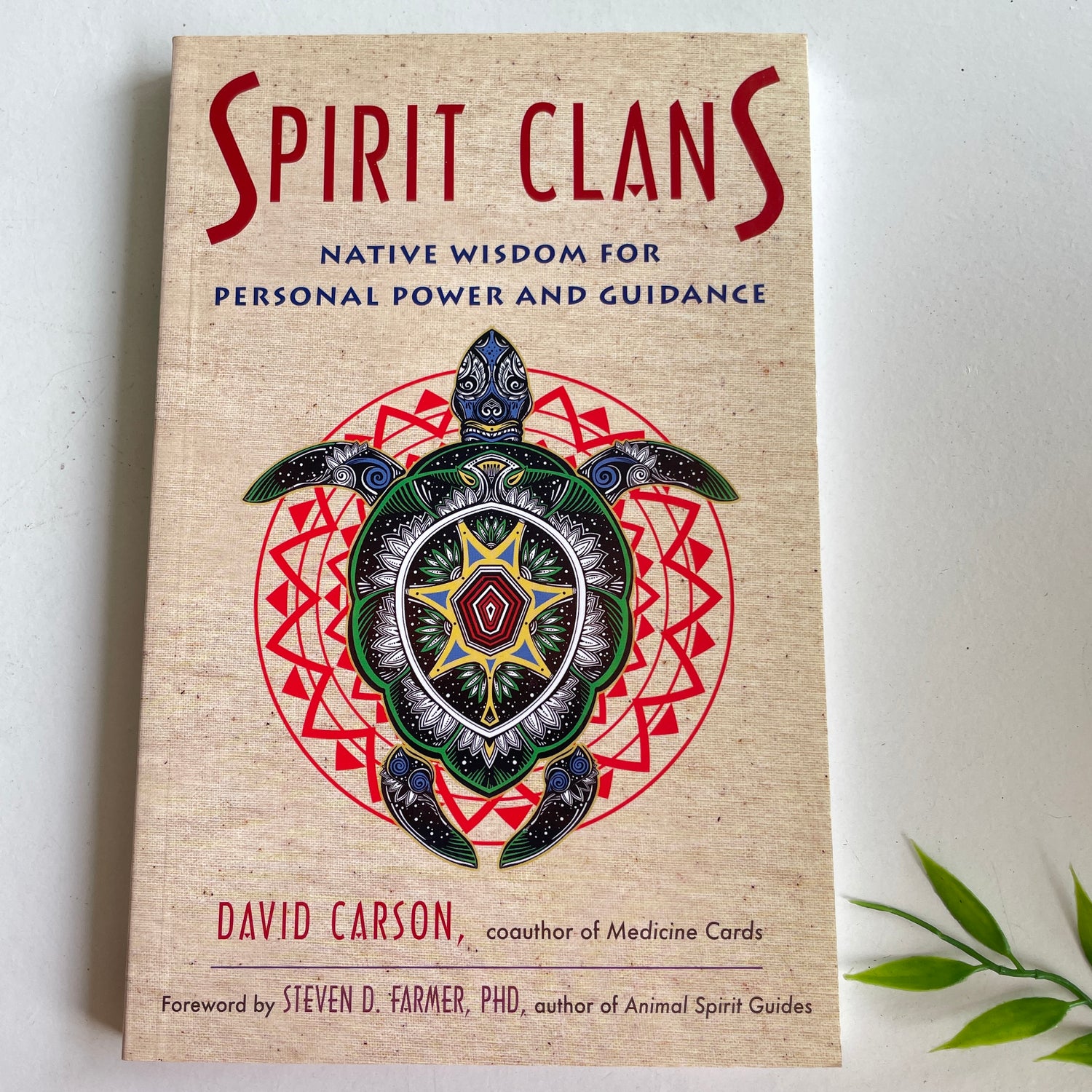 Spirit Clans D Carson