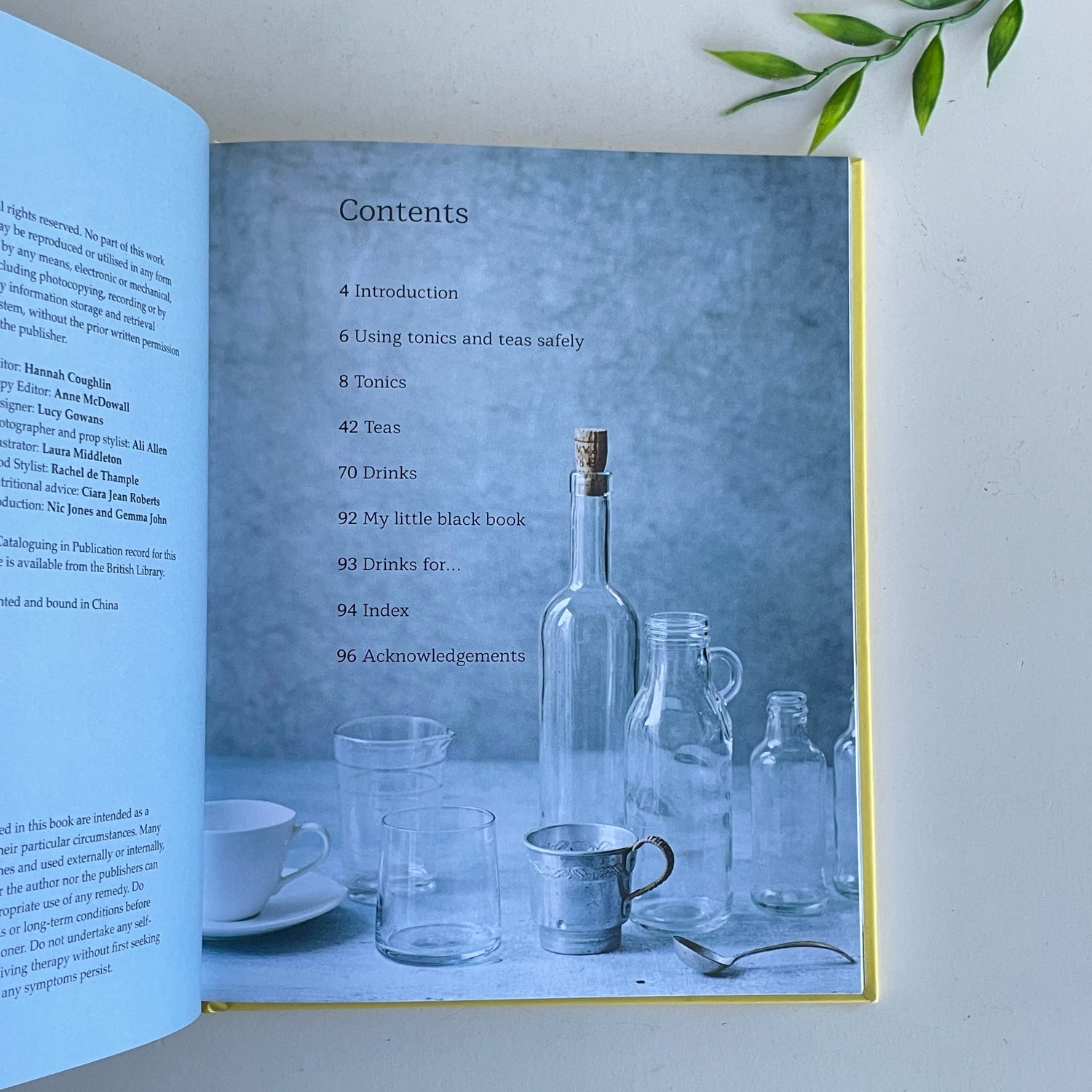 Tonic And Teas Rachel De Thample