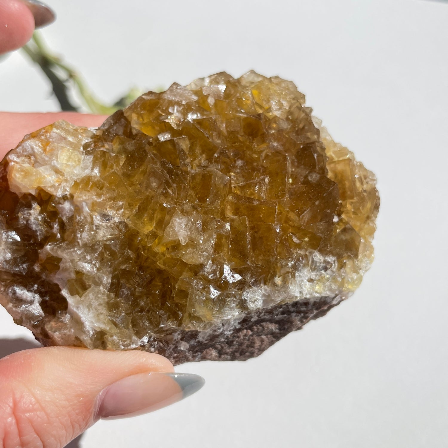 Spanish Fluorite Pce 264g