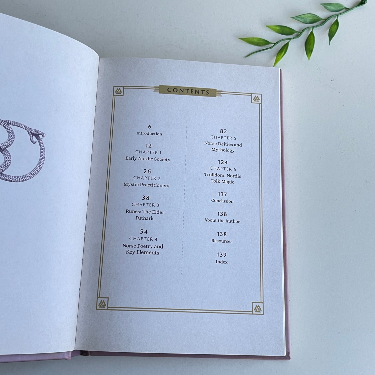 Norse Mysticism Disa Forvitin