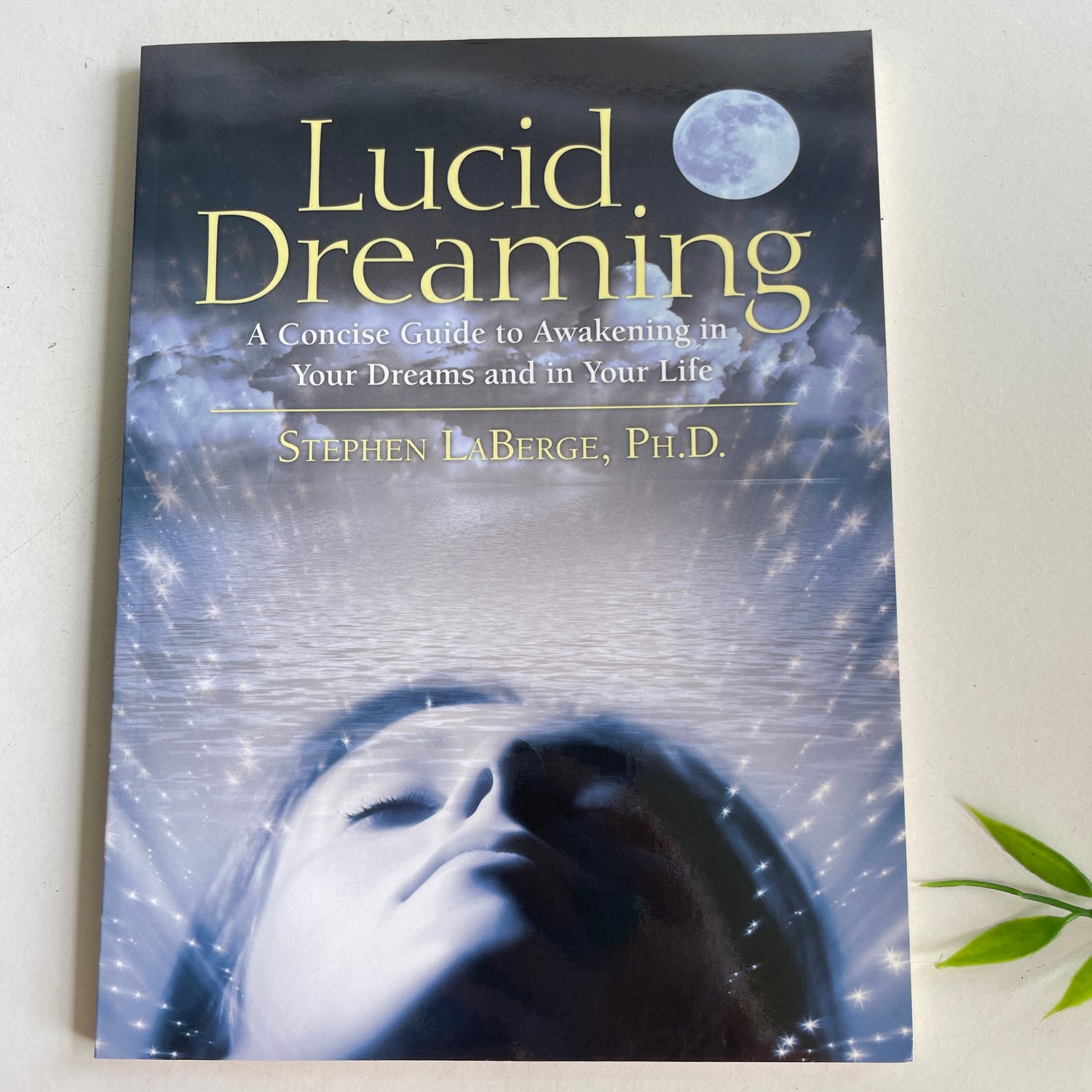 S LaBerge Lucid Dreaming