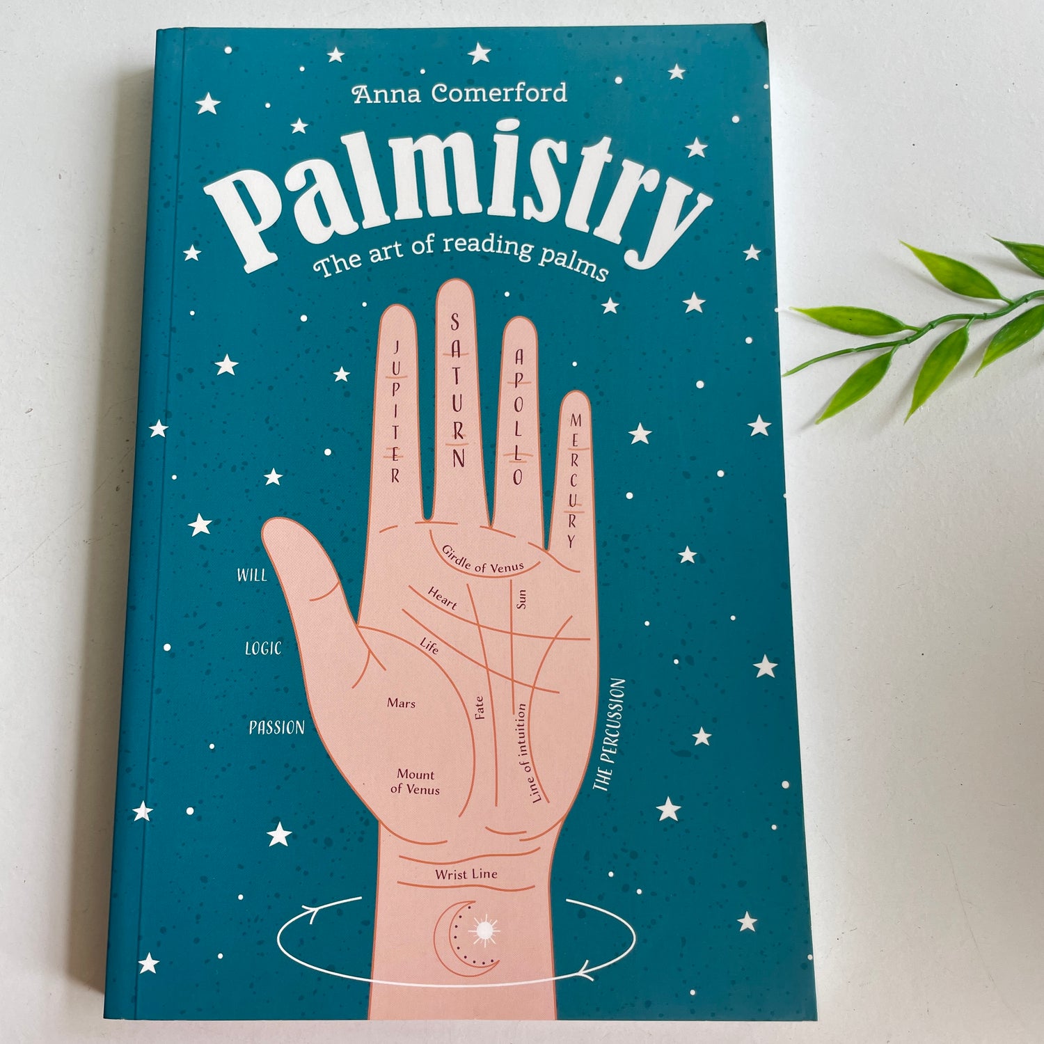 Palmistry The Art Of Reading Palms Anna Comerford
