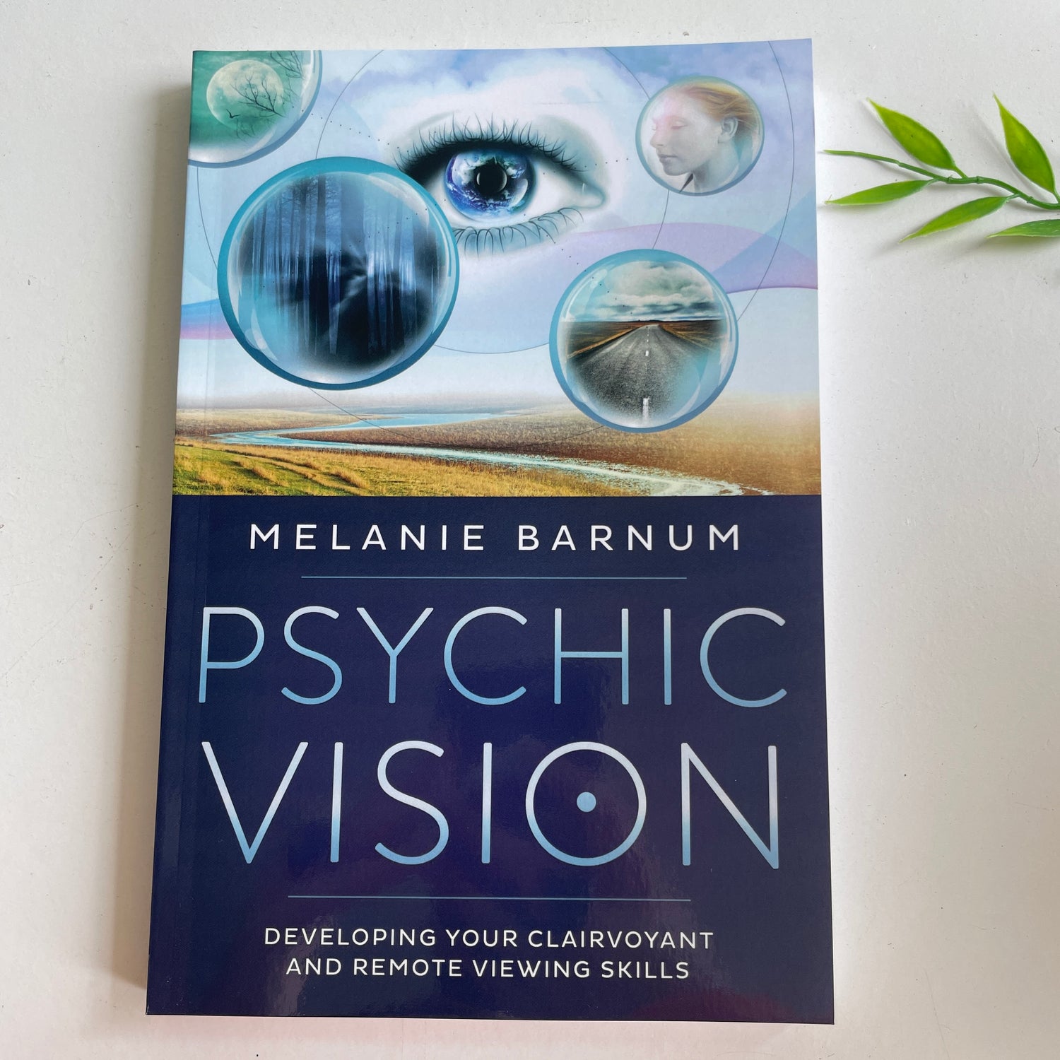 Psychic Vision  Melanie Barnum