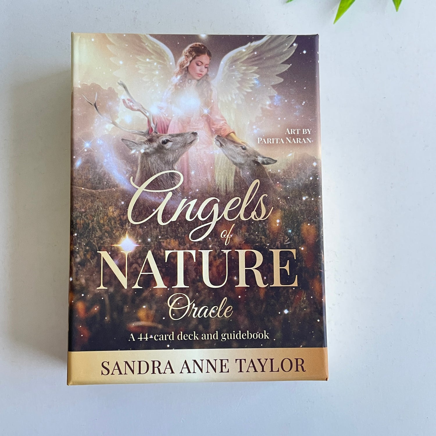 Angels Of Nature Sandra Anne Taylor
