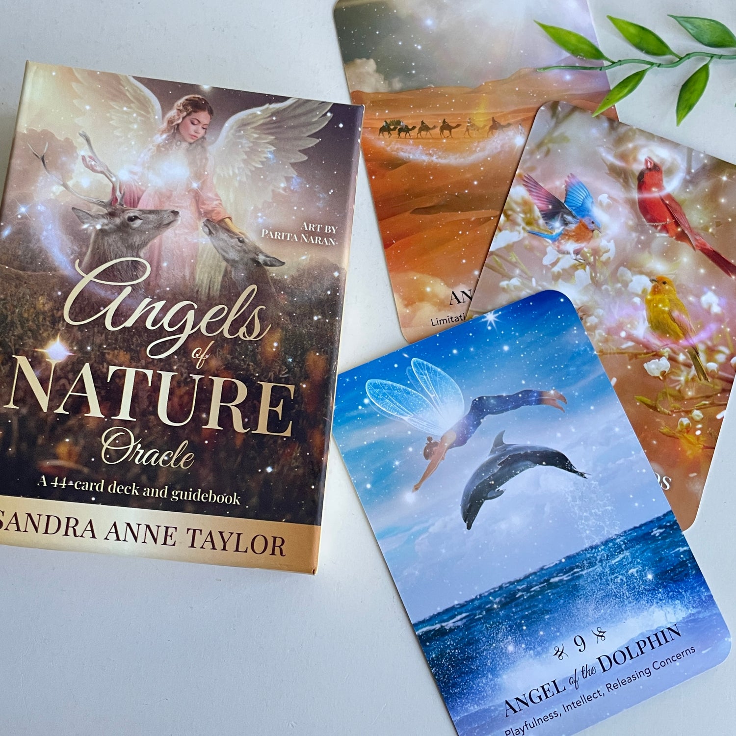 Angels Of Nature Sandra Anne Taylor
