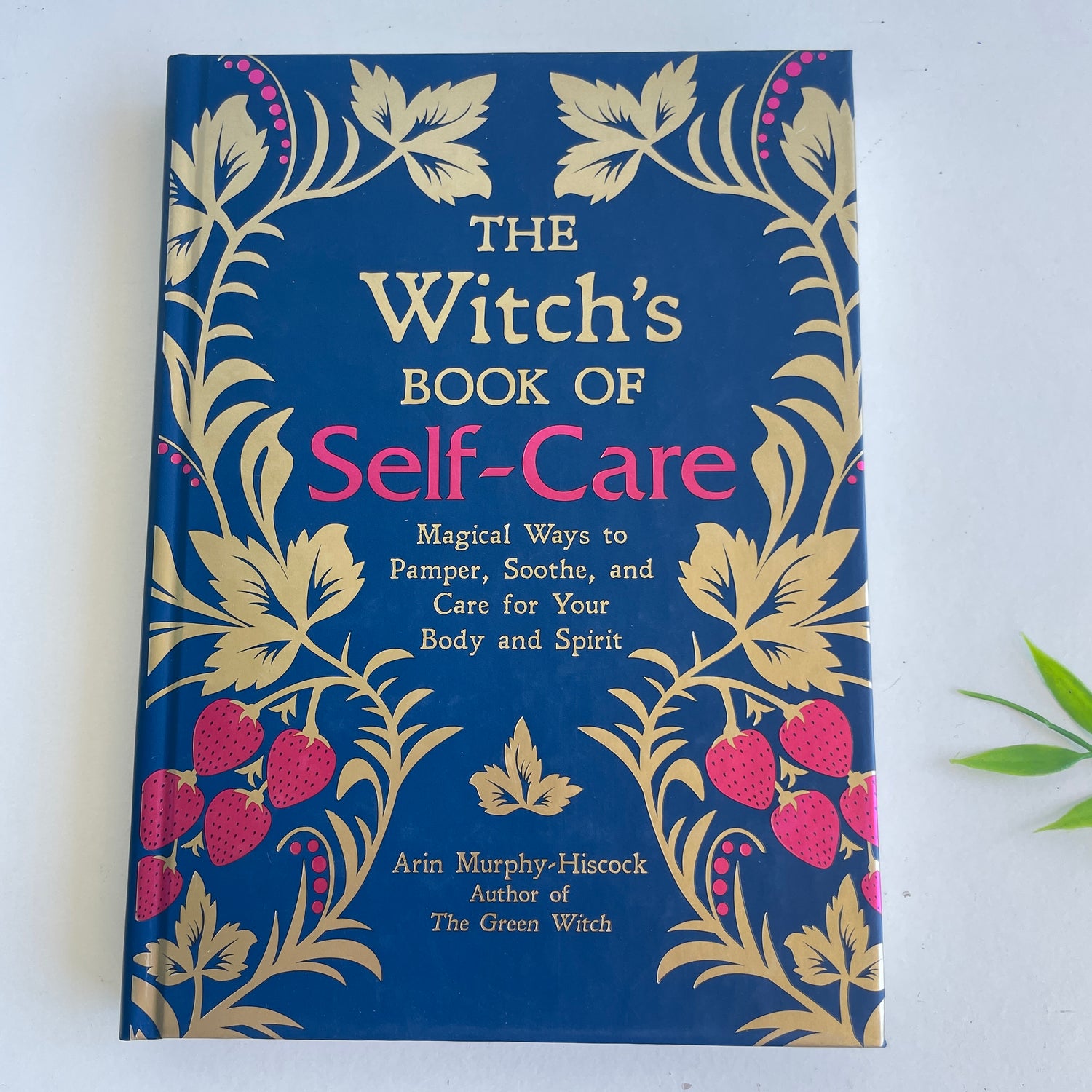 The Witch's Book Of Self Care Arin Murphey-Hiscock