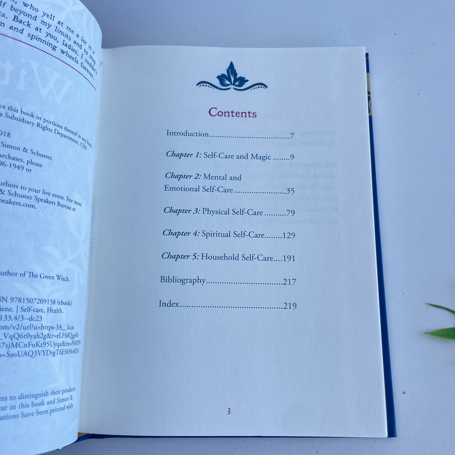 The Witch's Book Of Self Care Arin Murphey-Hiscock