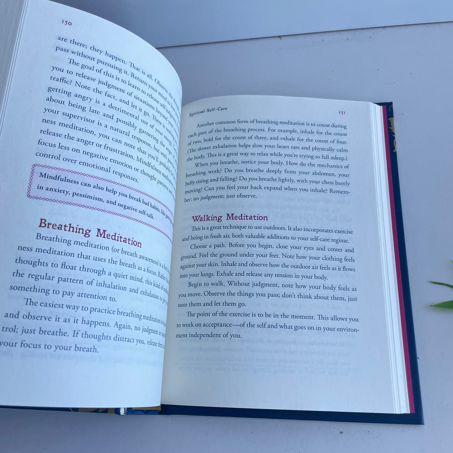 The Witch's Book Of Self Care Arin Murphey-Hiscock