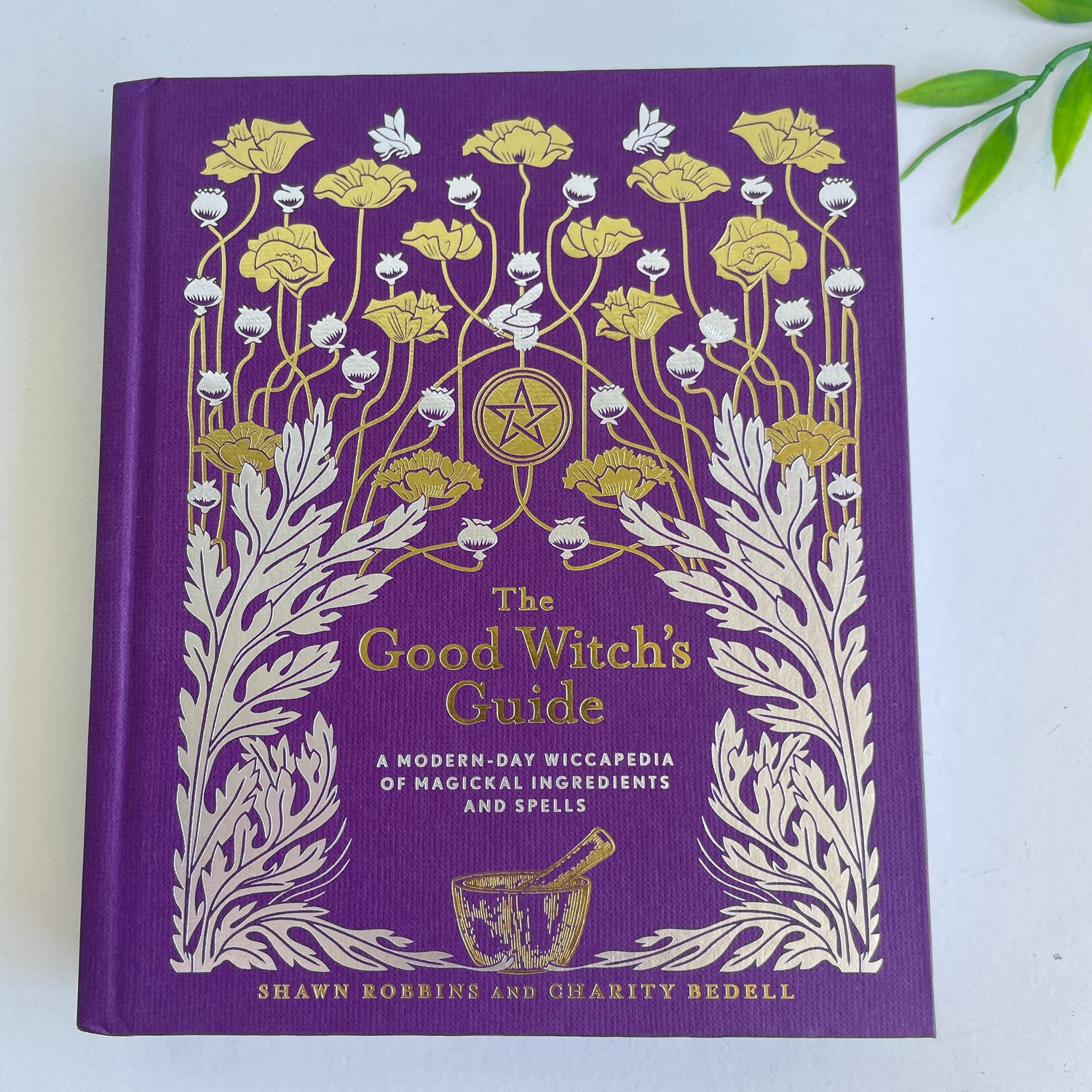 The Good Witch's Guide Shawn Robbins