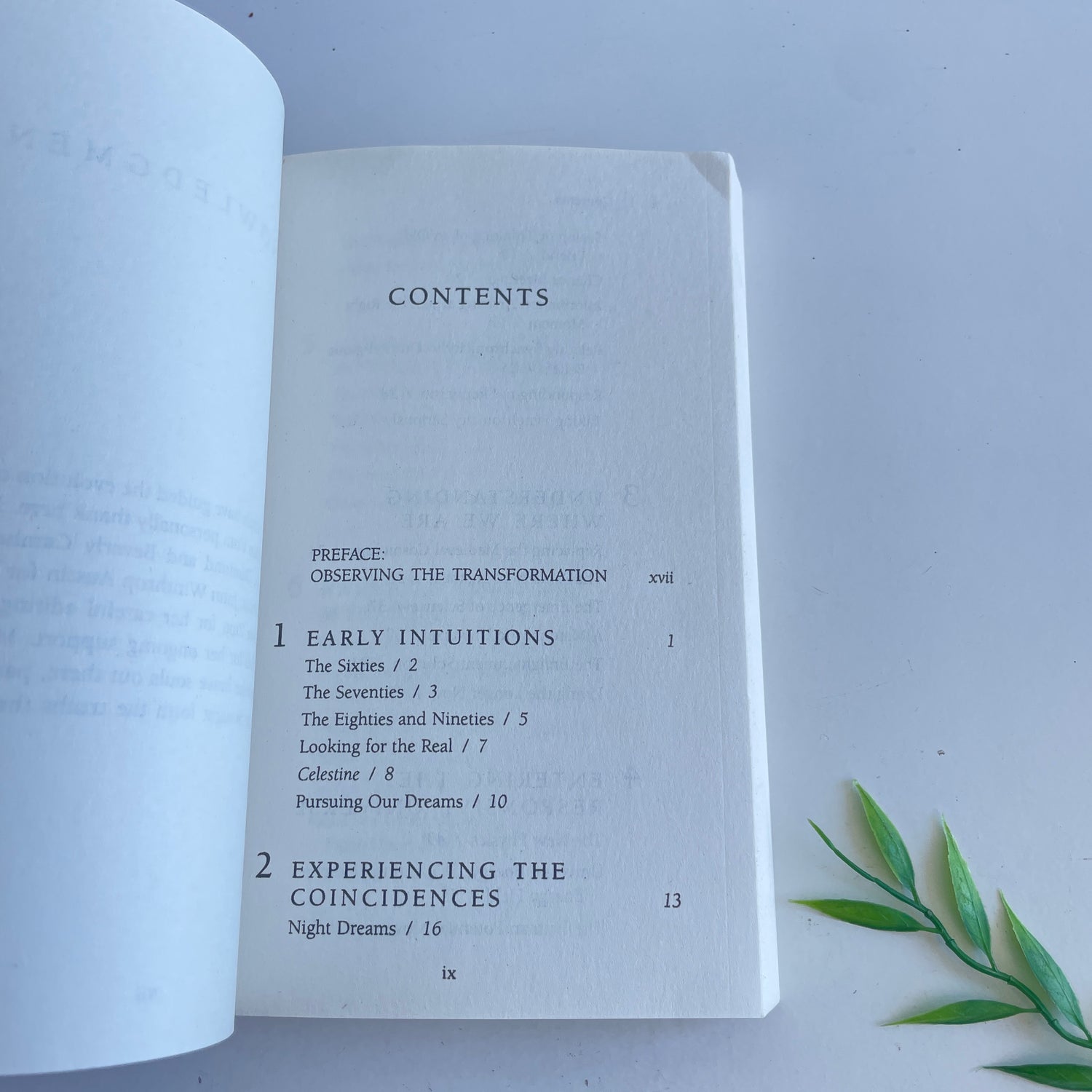 The Celestine Vision James Redfield