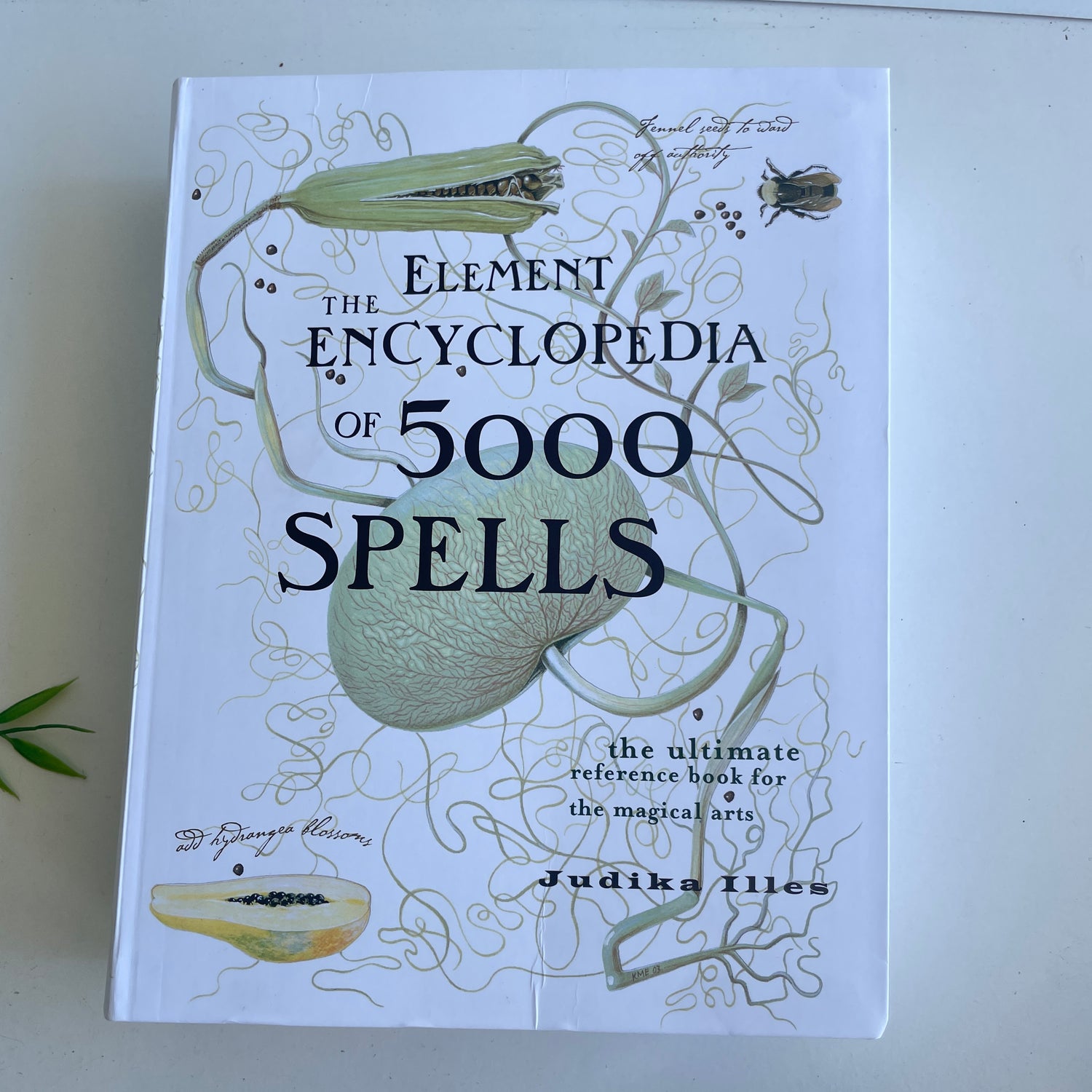 The Element Encyclopedia of 5000 Spells