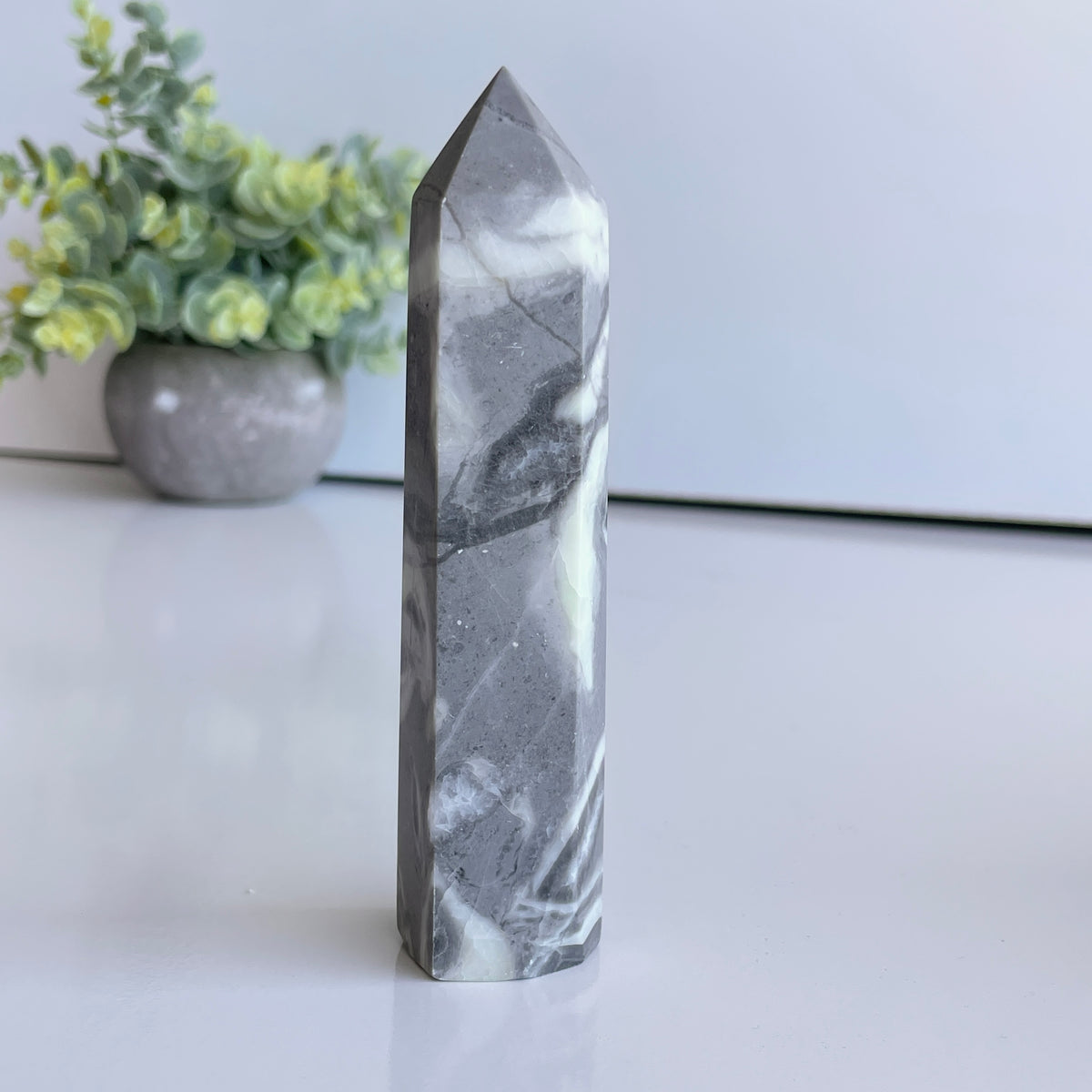 Shell Jasper Generator 11.9cm