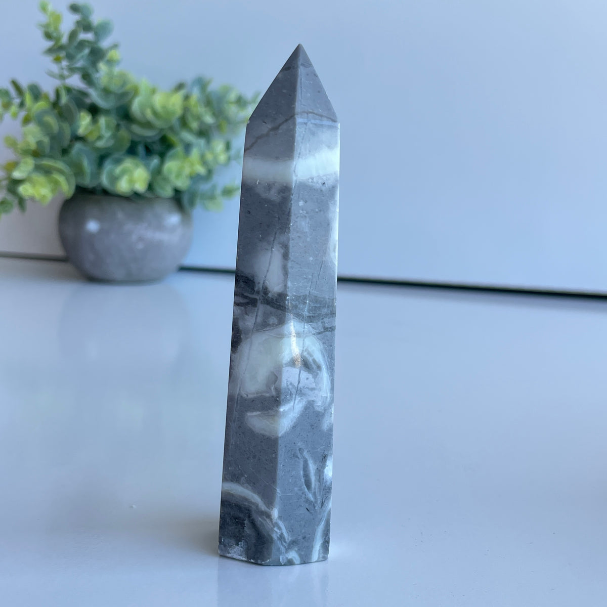 Shell Jasper Generator 11.9cm