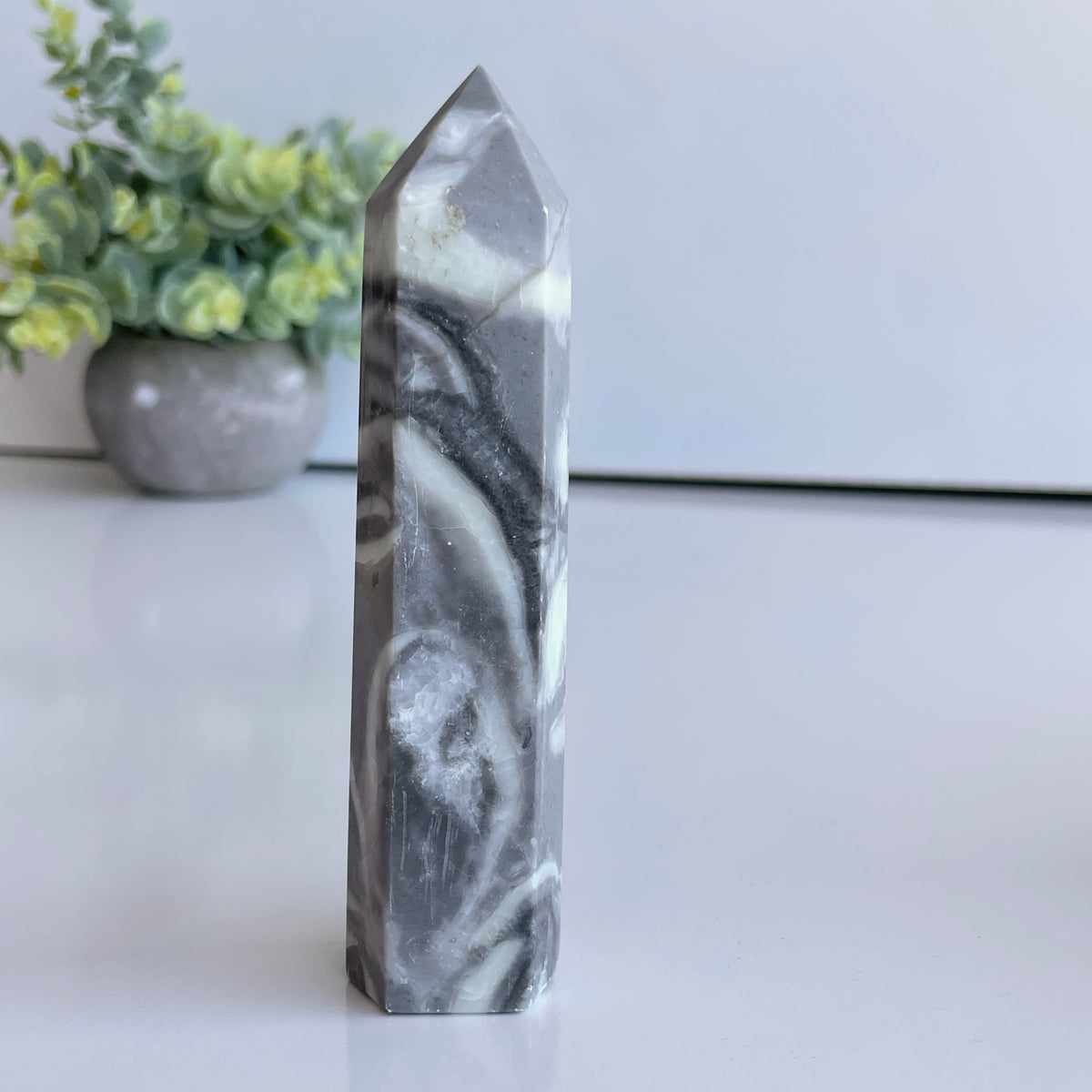 Shell Jasper Generator 11.9cm