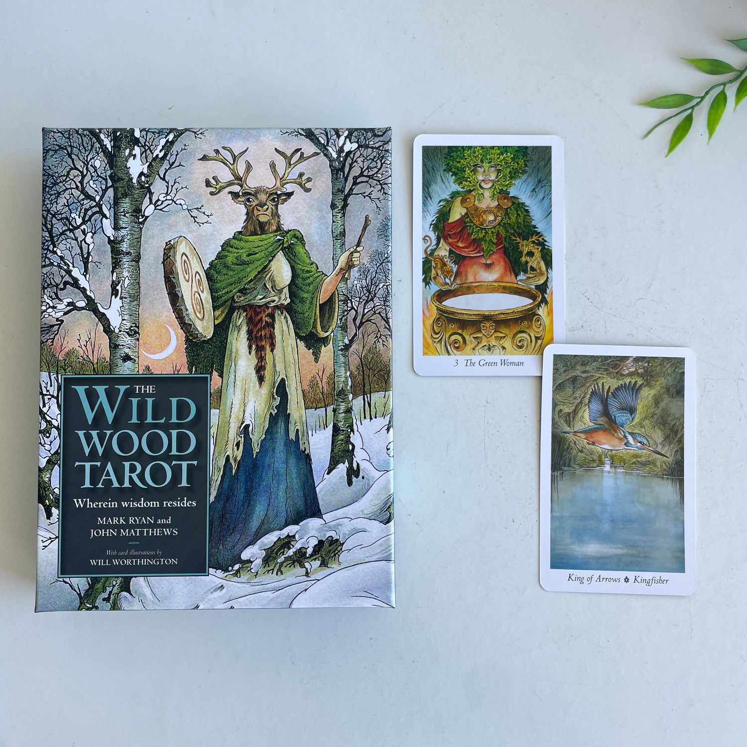 Wild Wood Tarot  Mark Ryan