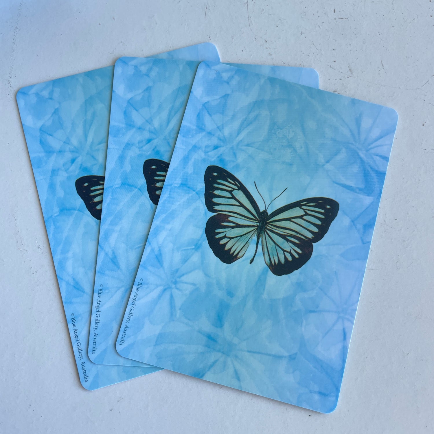 Universal Wisdom Oracle Cards Toni Salerno