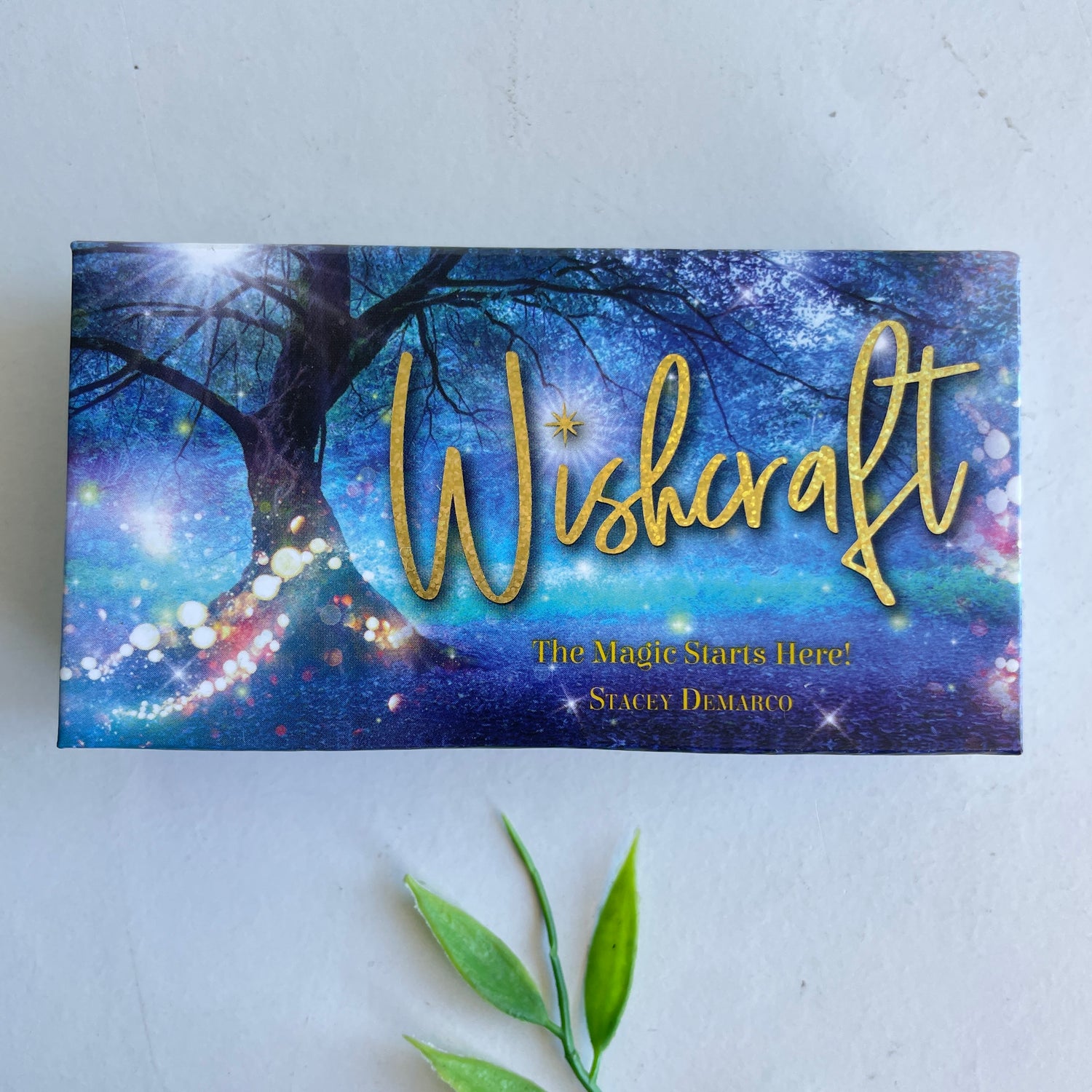 Wishcraft Stacey Demarco