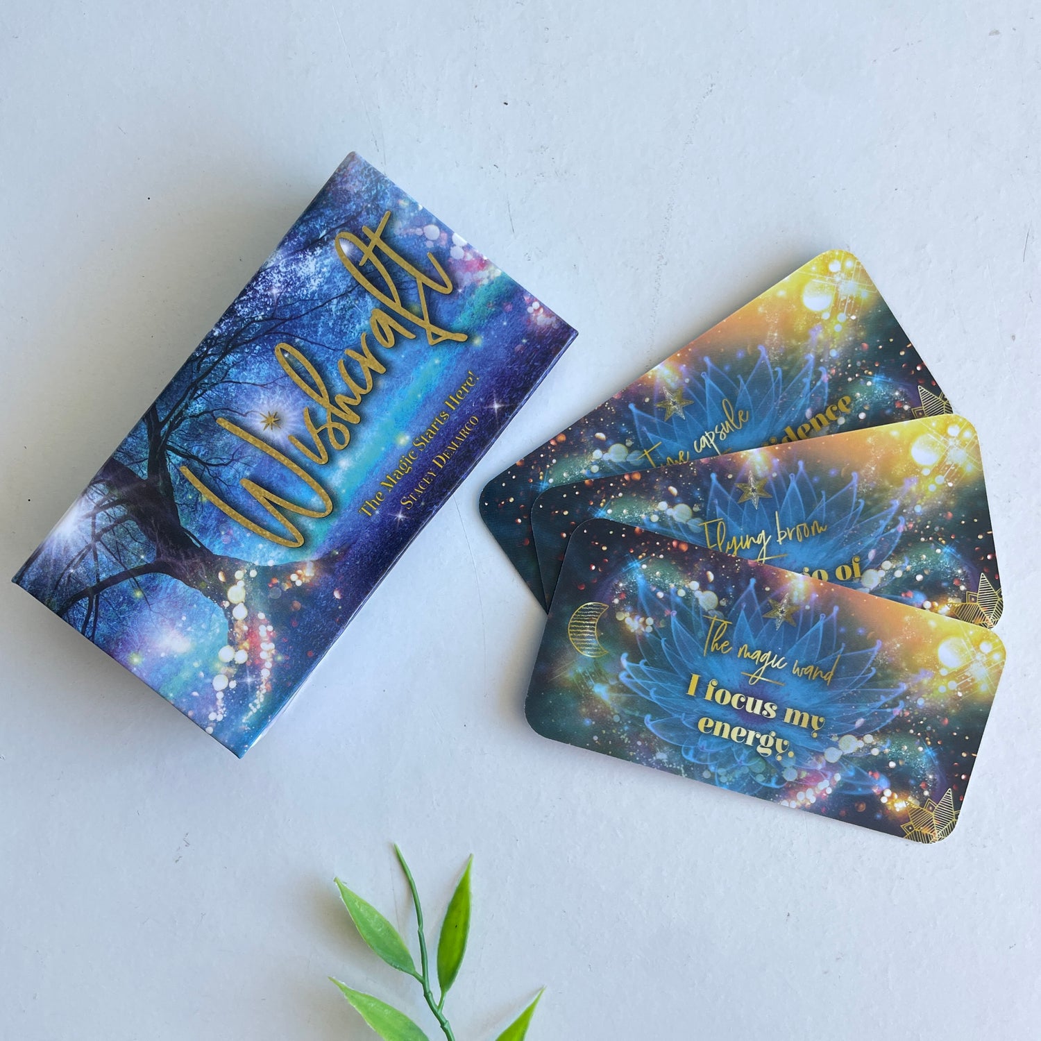 Wishcraft Stacey Demarco