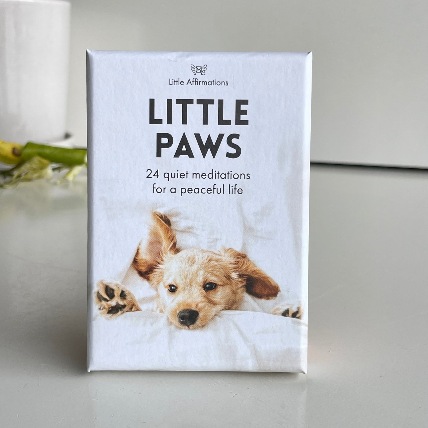 Little Paws Little Affirmations DLP