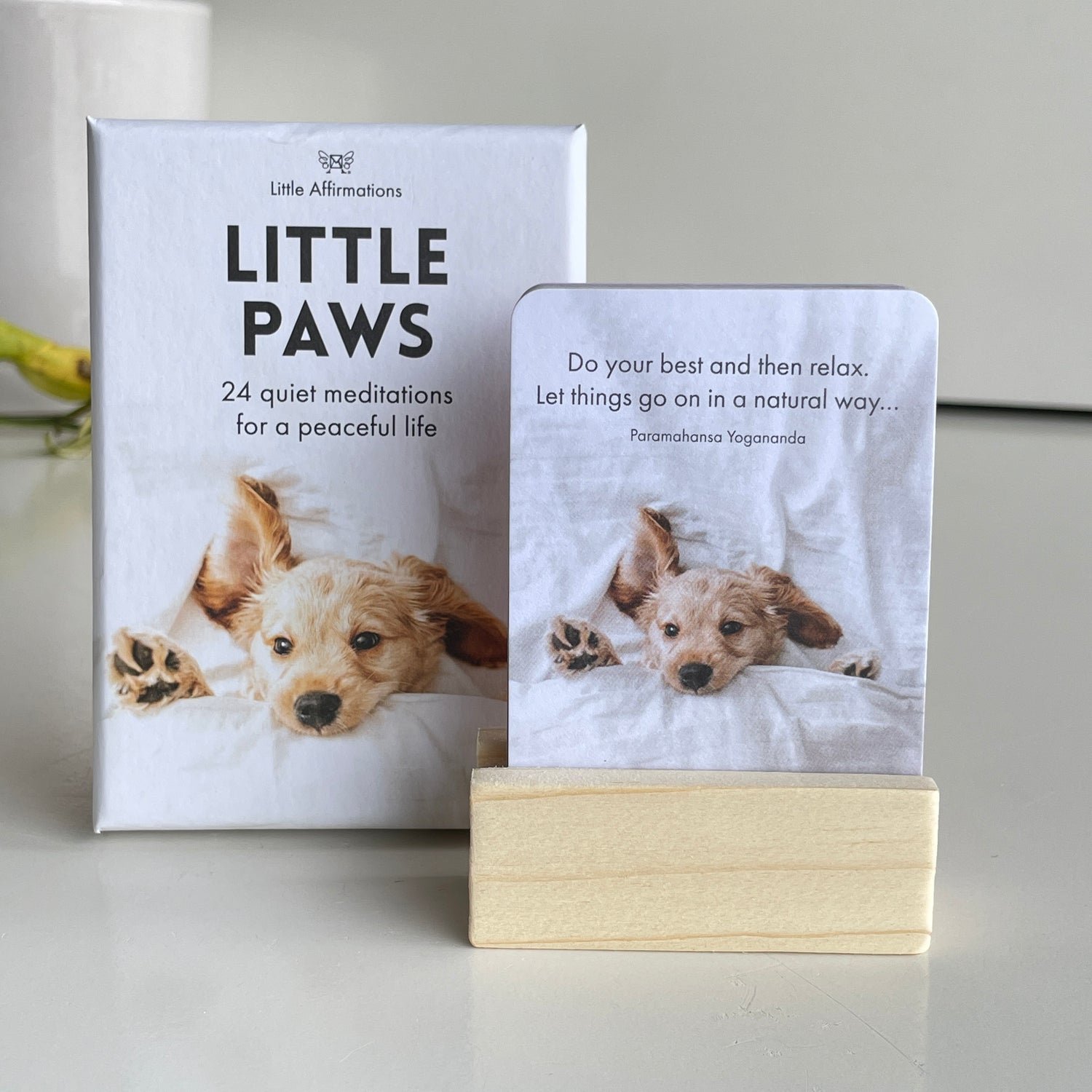 Little Paws Little Affirmations DLP