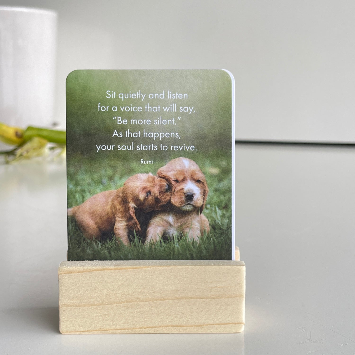 Little Paws Little Affirmations DLP