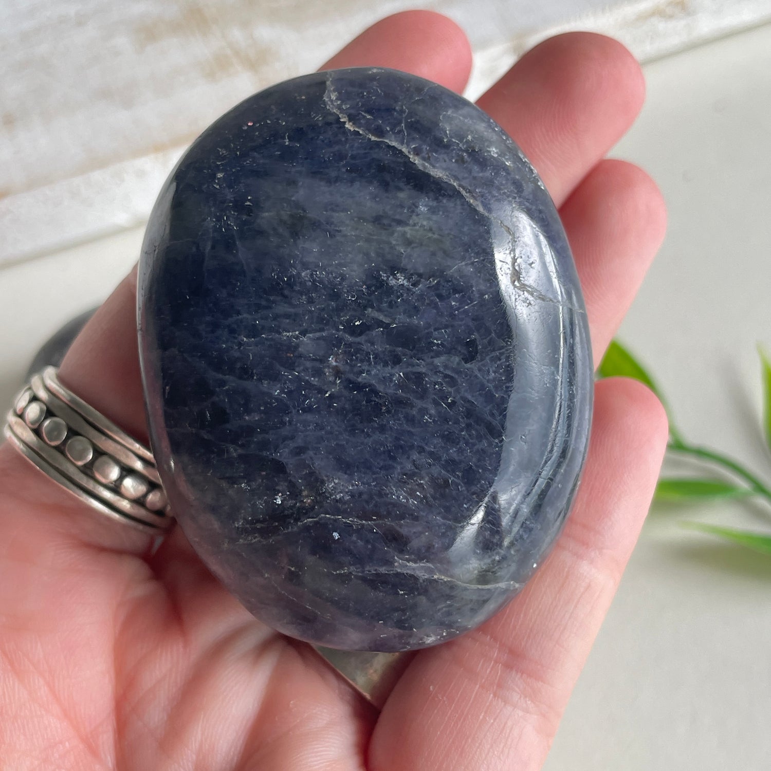 Iolite Palmstone Assorted