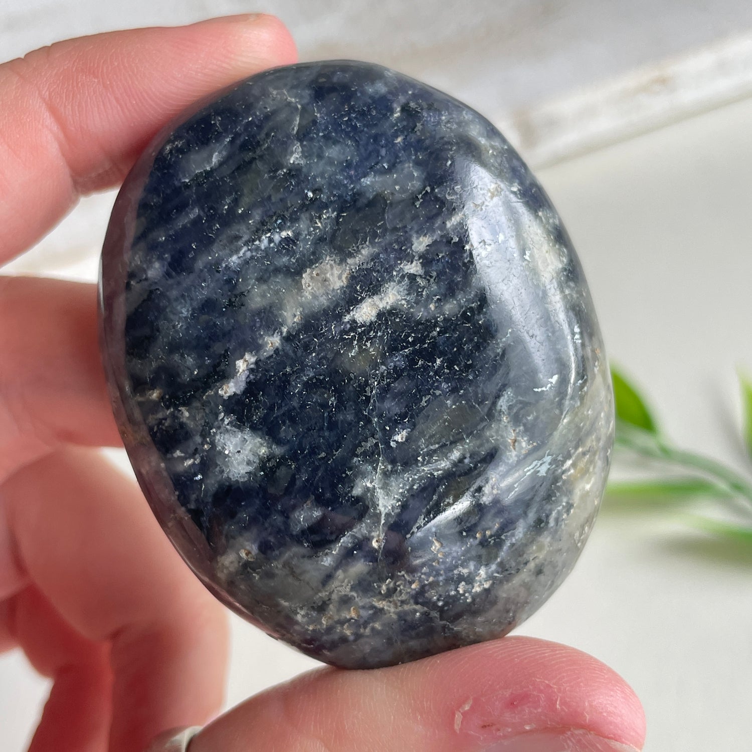 Iolite Palmstone Assorted