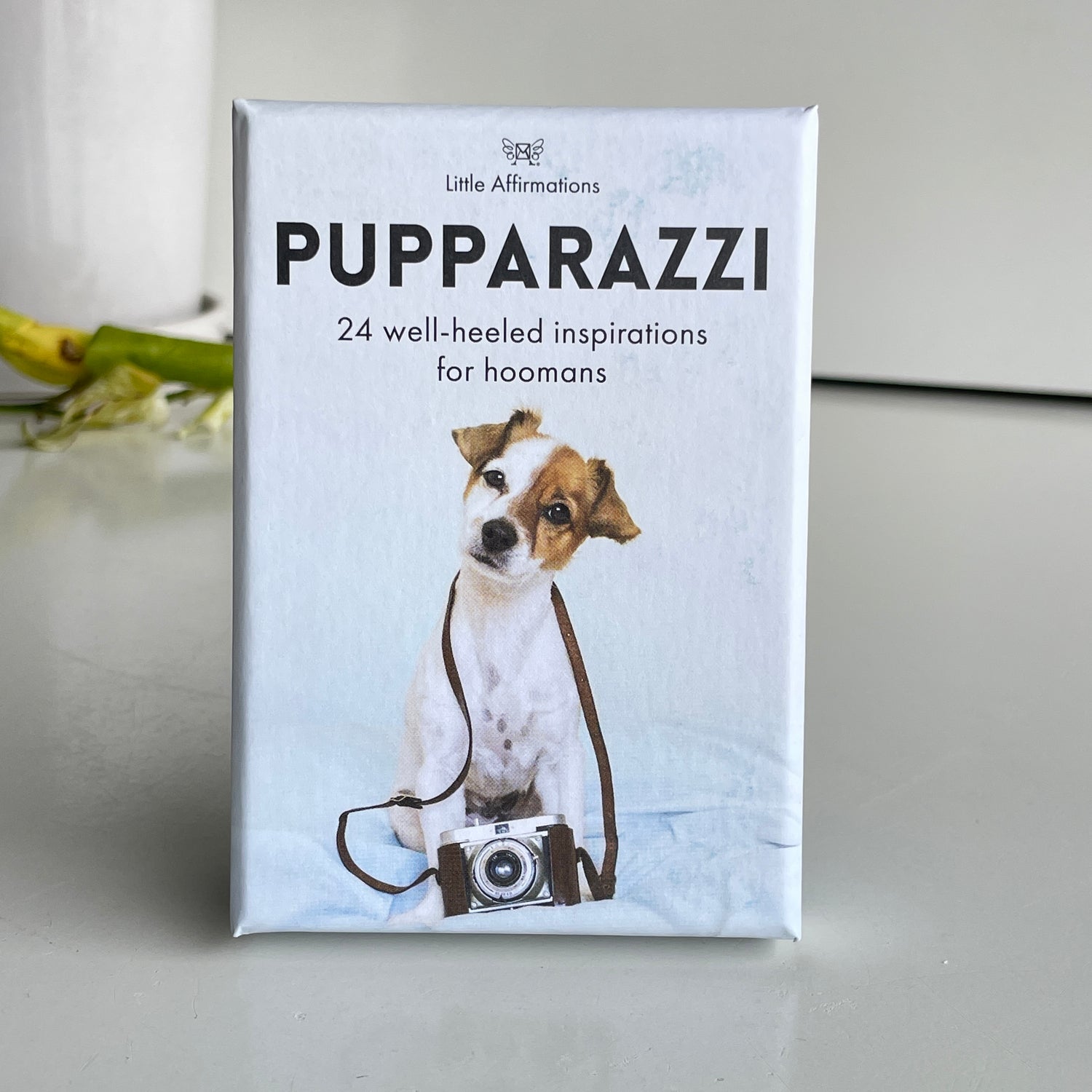 Pupparazzi Little Affirmations DPZ.