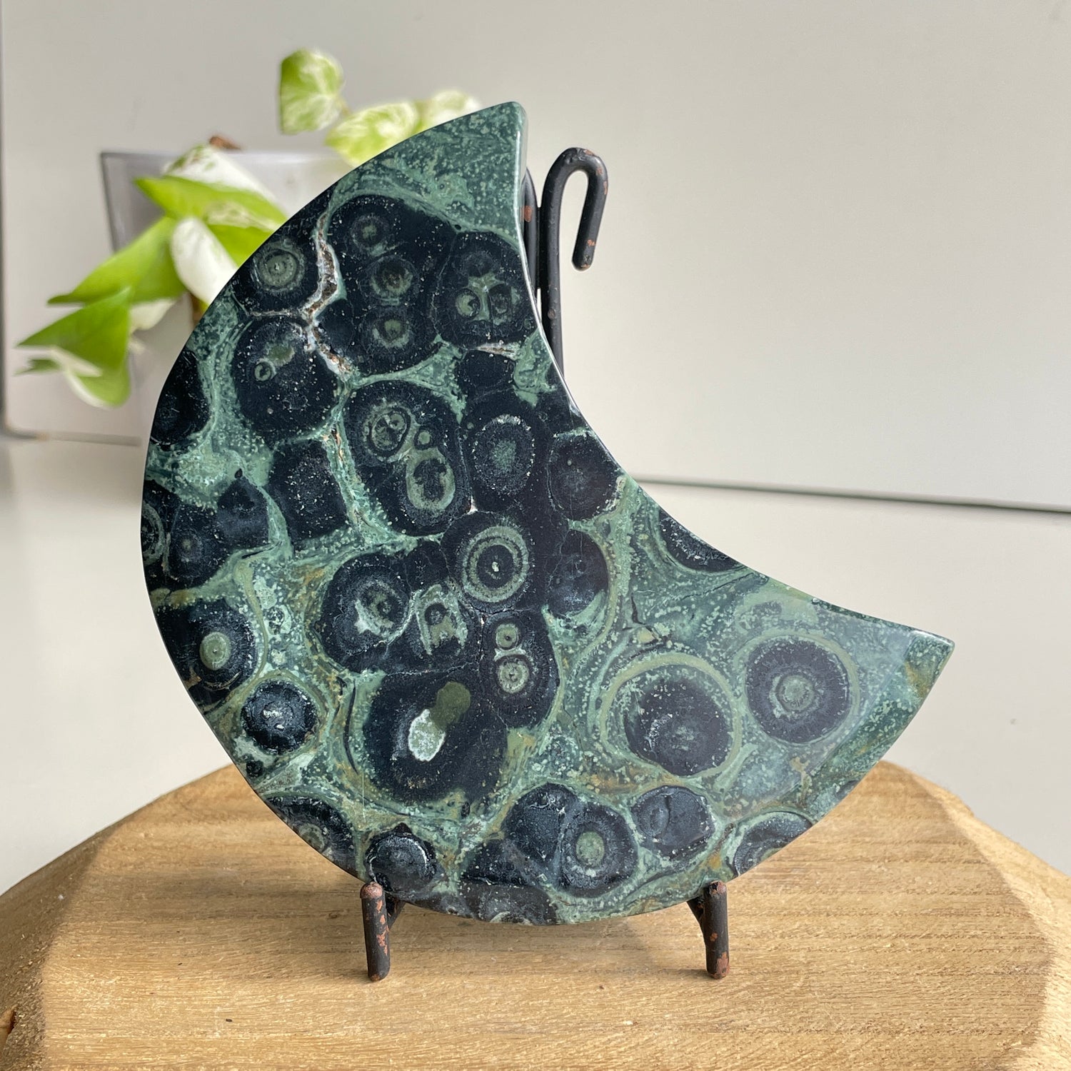 Kambaba Jasper Moon 12.2cm